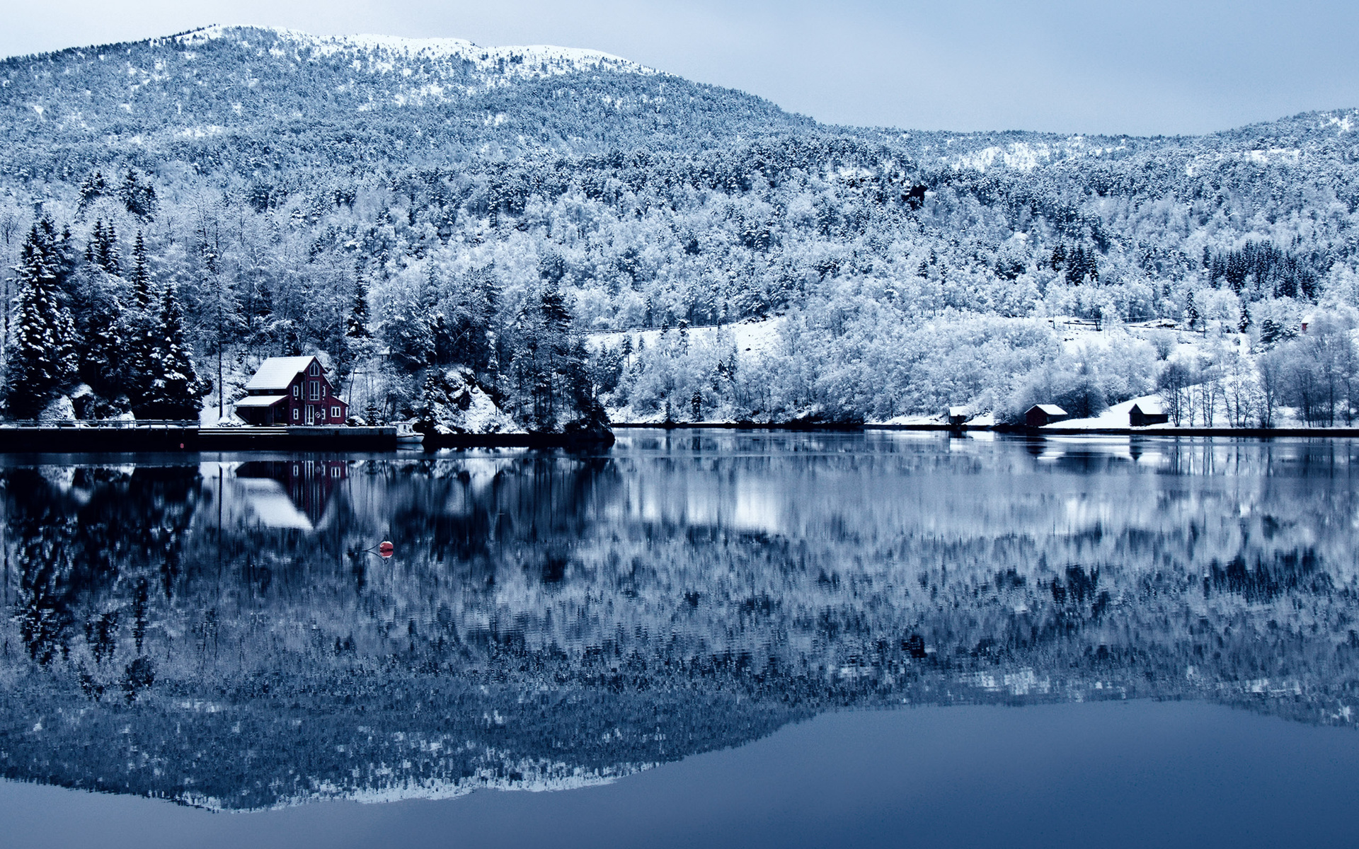 snow, tree, forest, lake, cottage, water