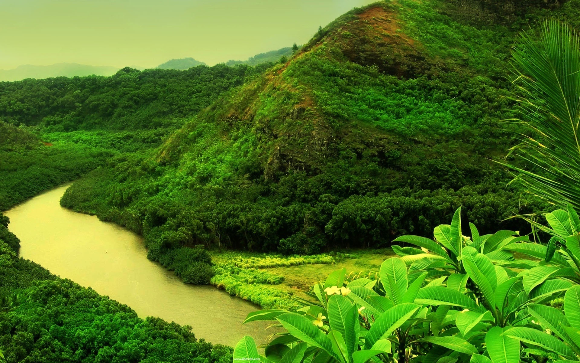 river, mountain, water, forest, green, tree