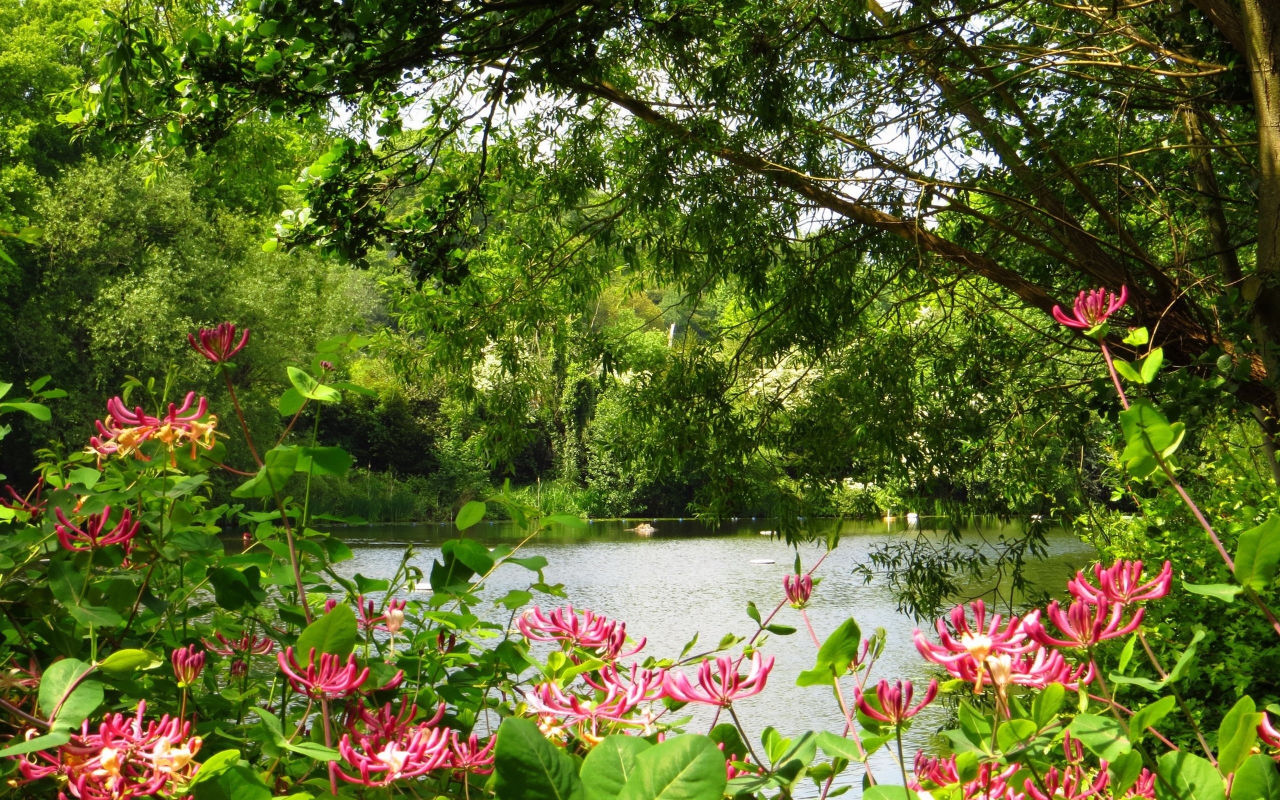 , , , , , hampstead heath, , 