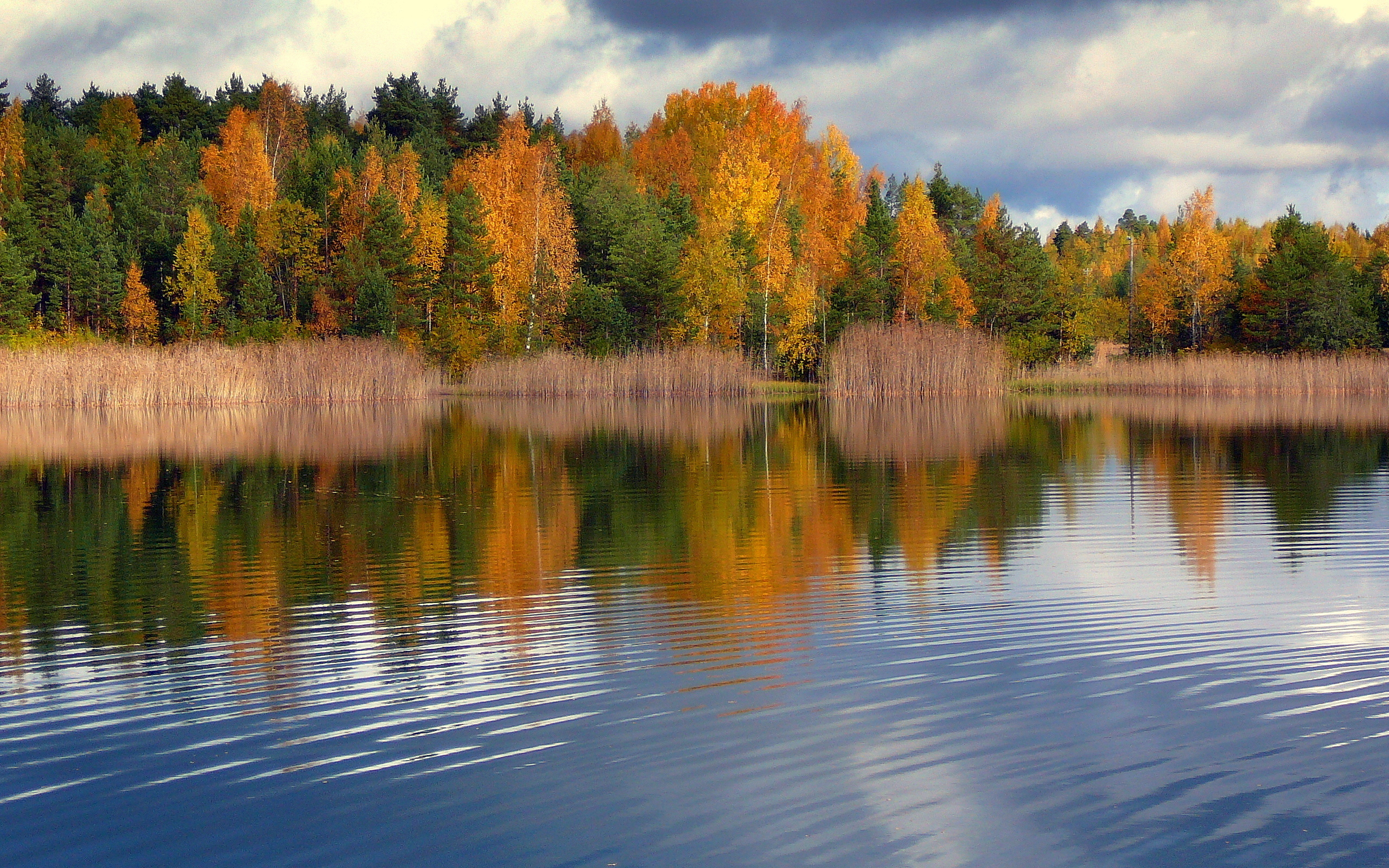Лесные озёра Финляндии осенью