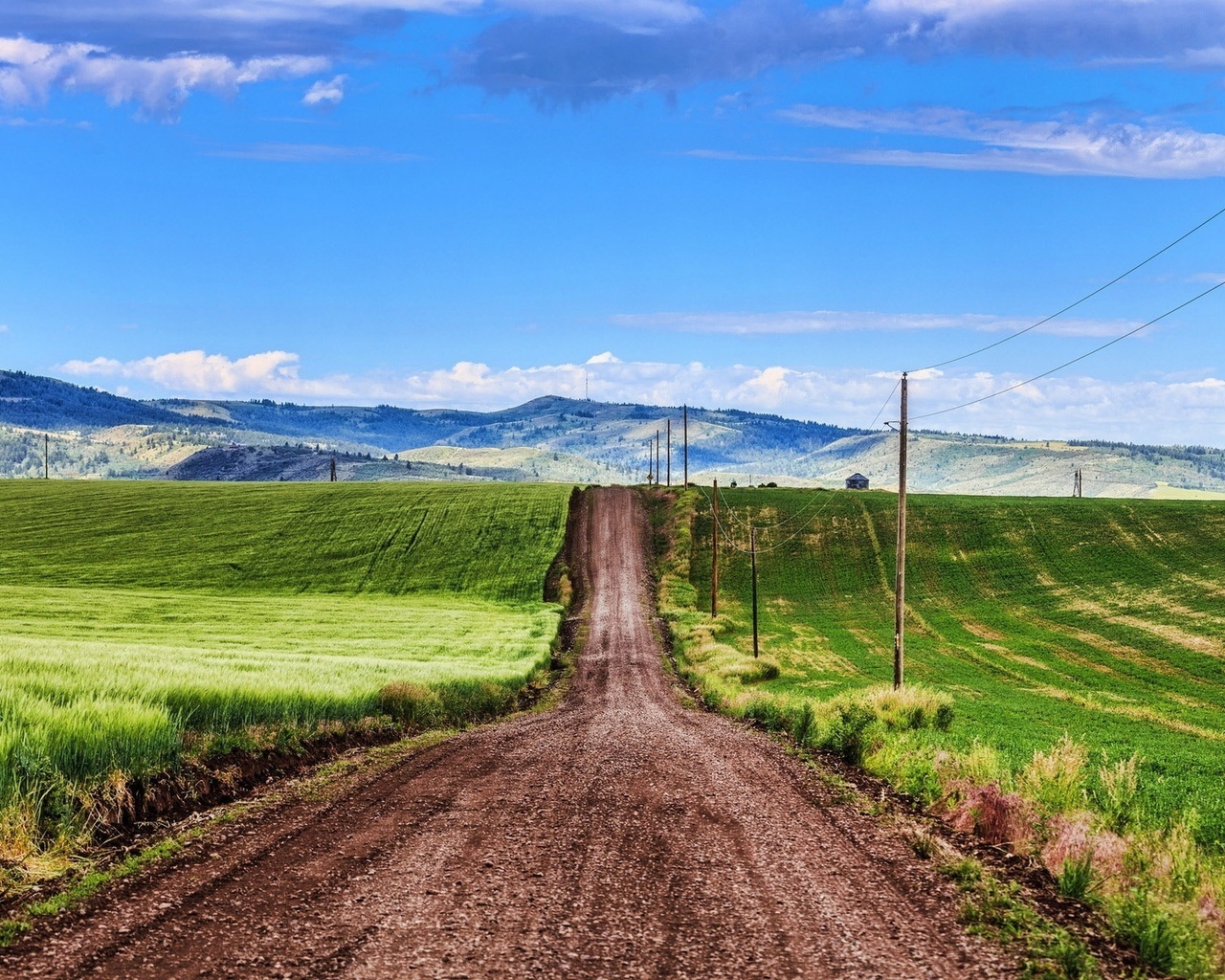 countryside, path, grass, green, sky