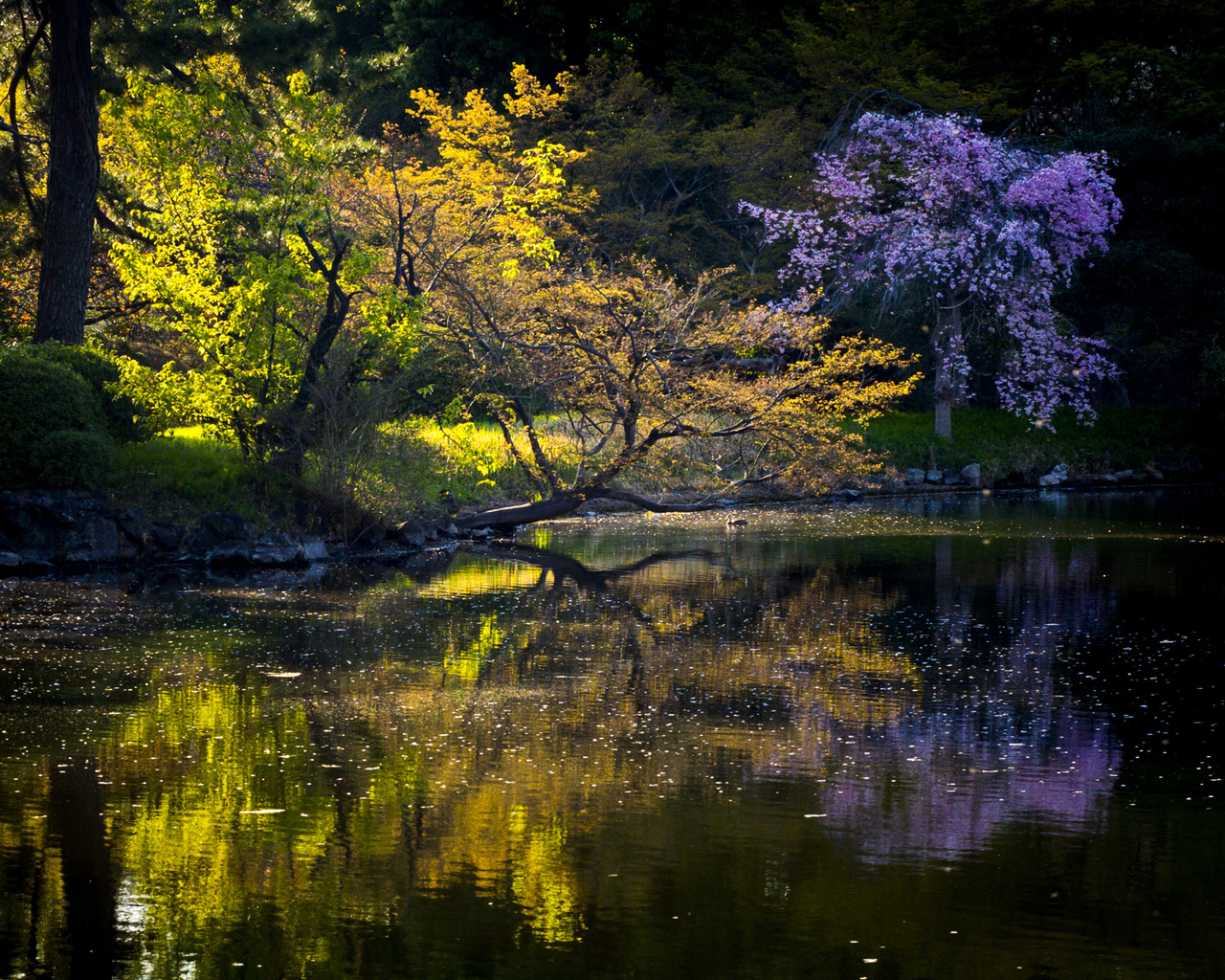 lake, mountain, tree, forest, water, sky, blue, 