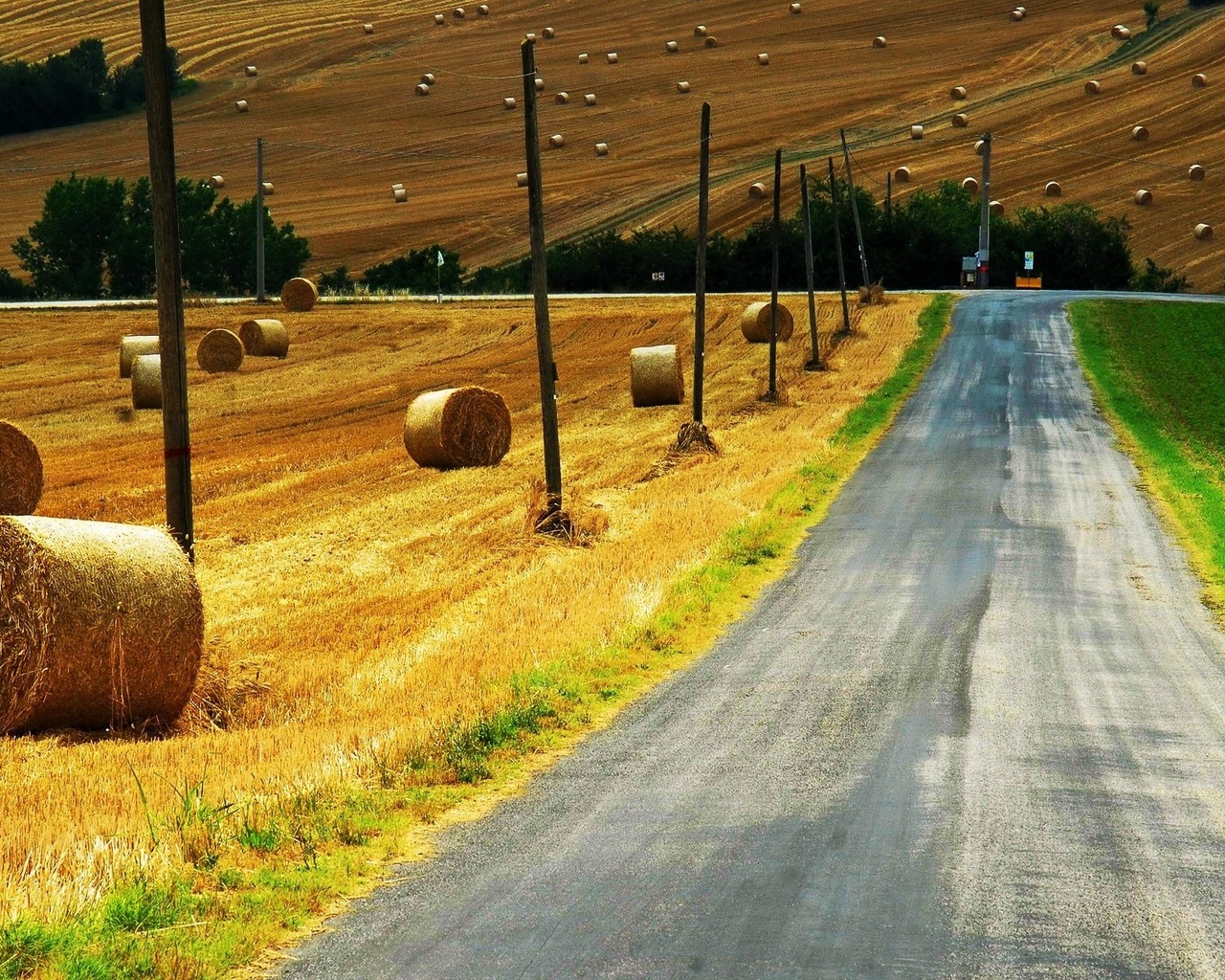 countryside, path, grass, green, sky