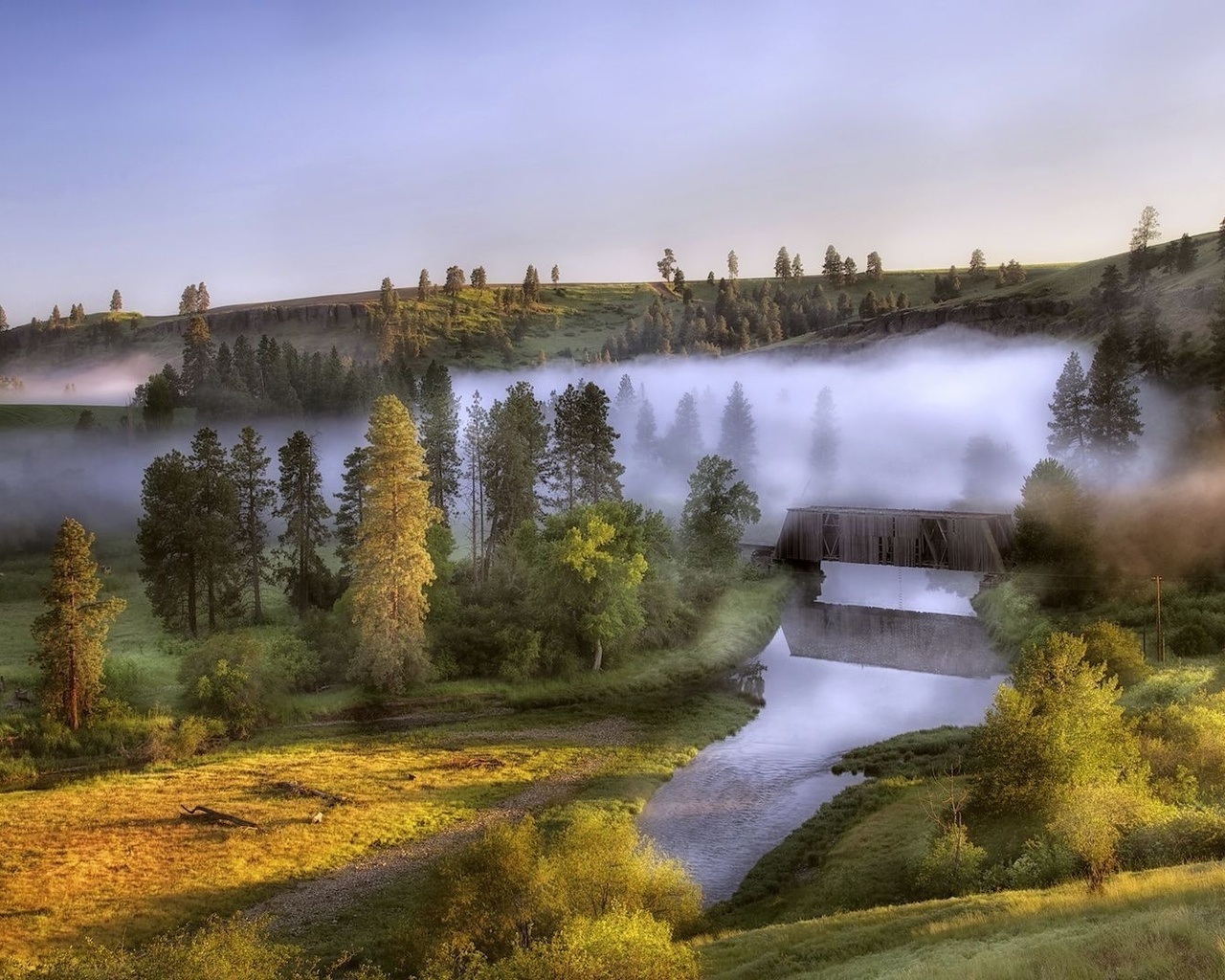 foggy, morning, bridge, river