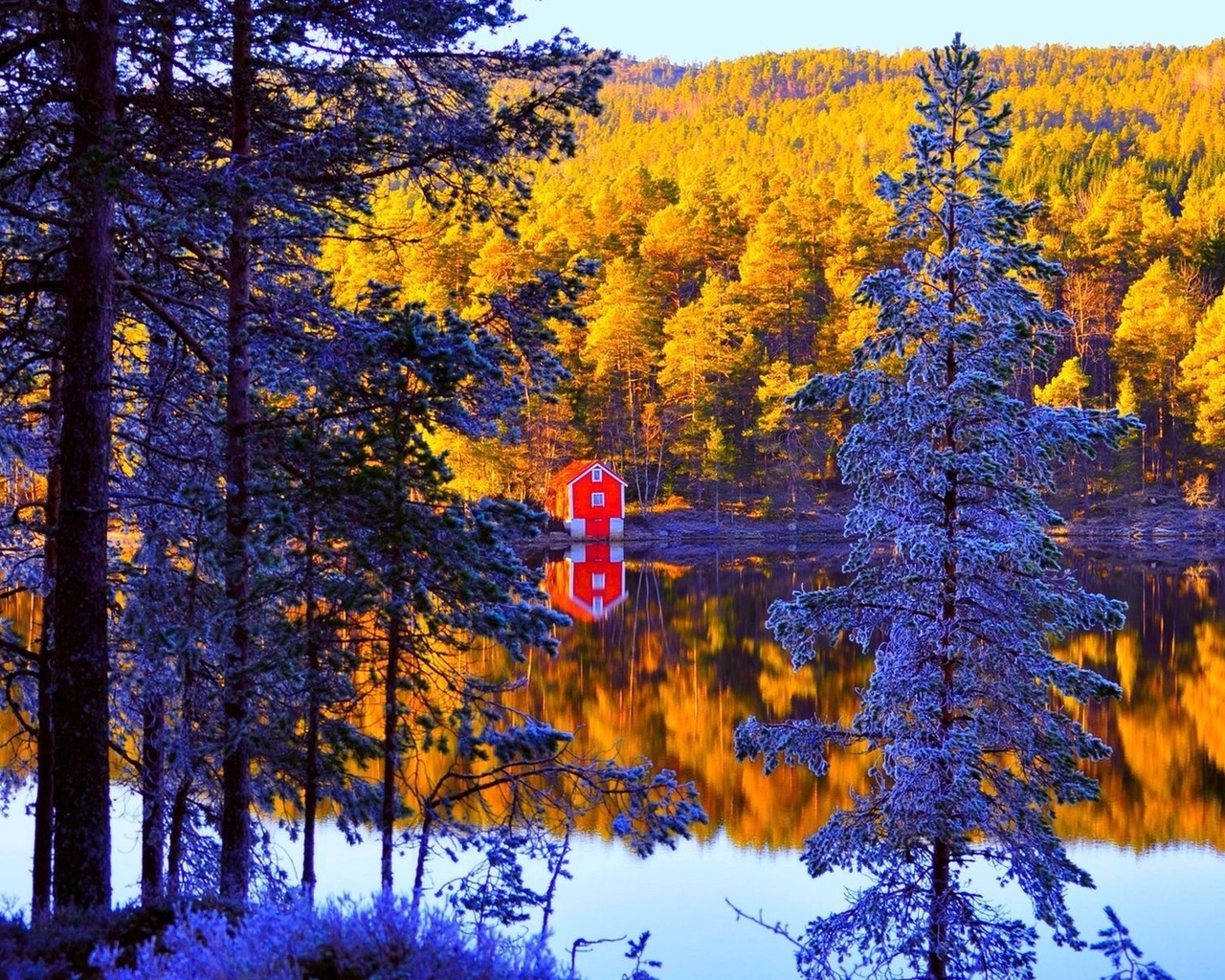 cabin, small, lake, tree, winter, snow