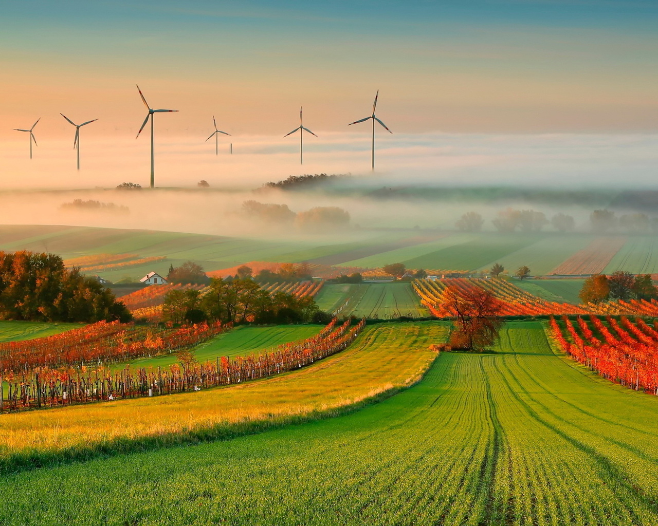 mills, wind, fields, grass, green