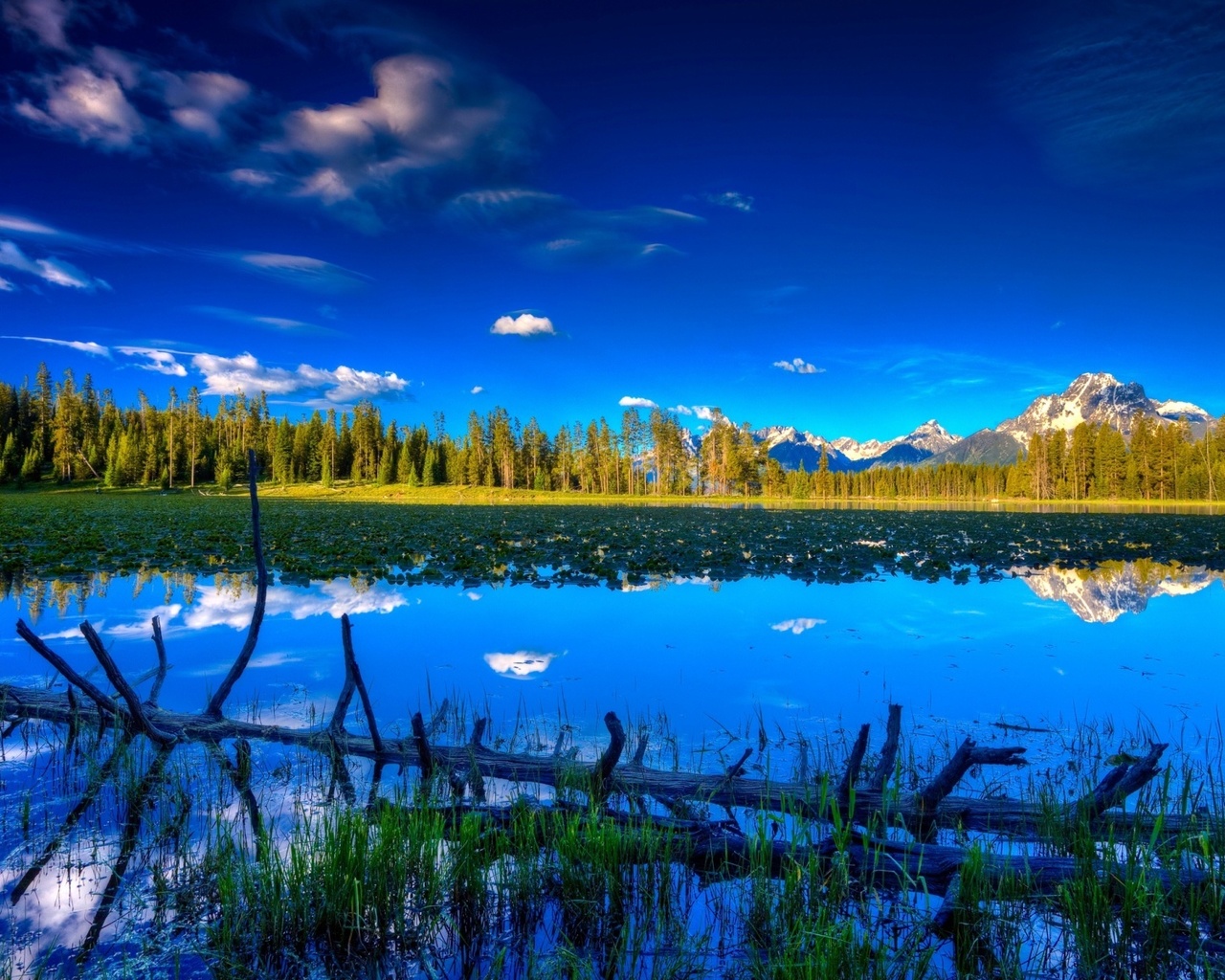 blue, water, lake, tree, mountain