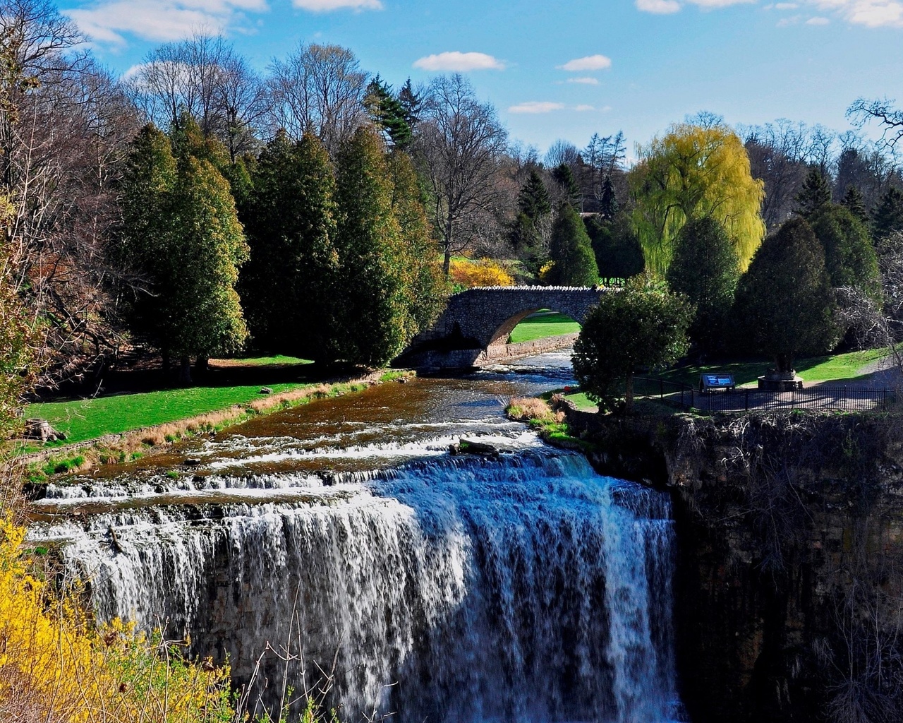 canada, ontario, waterfall, river, tree