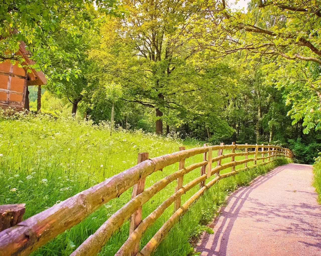 mountain, path, gree, grass, tree