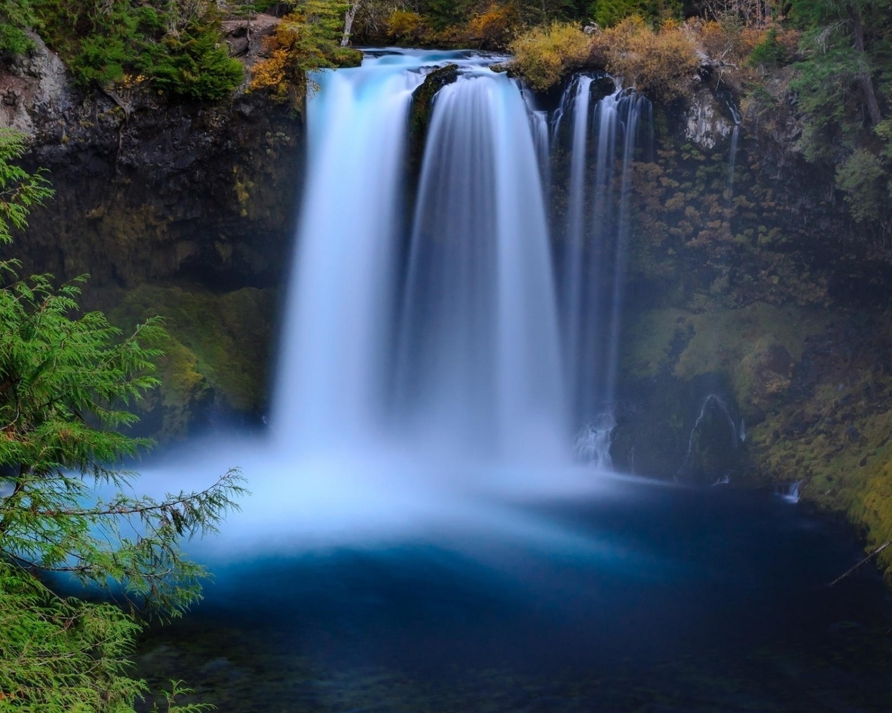 waterfall, forest, tree, river, water