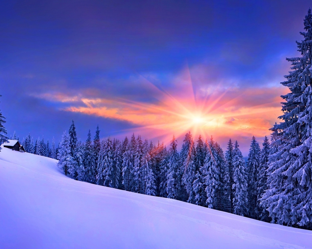 cabin, winter, mountain, tree, snow