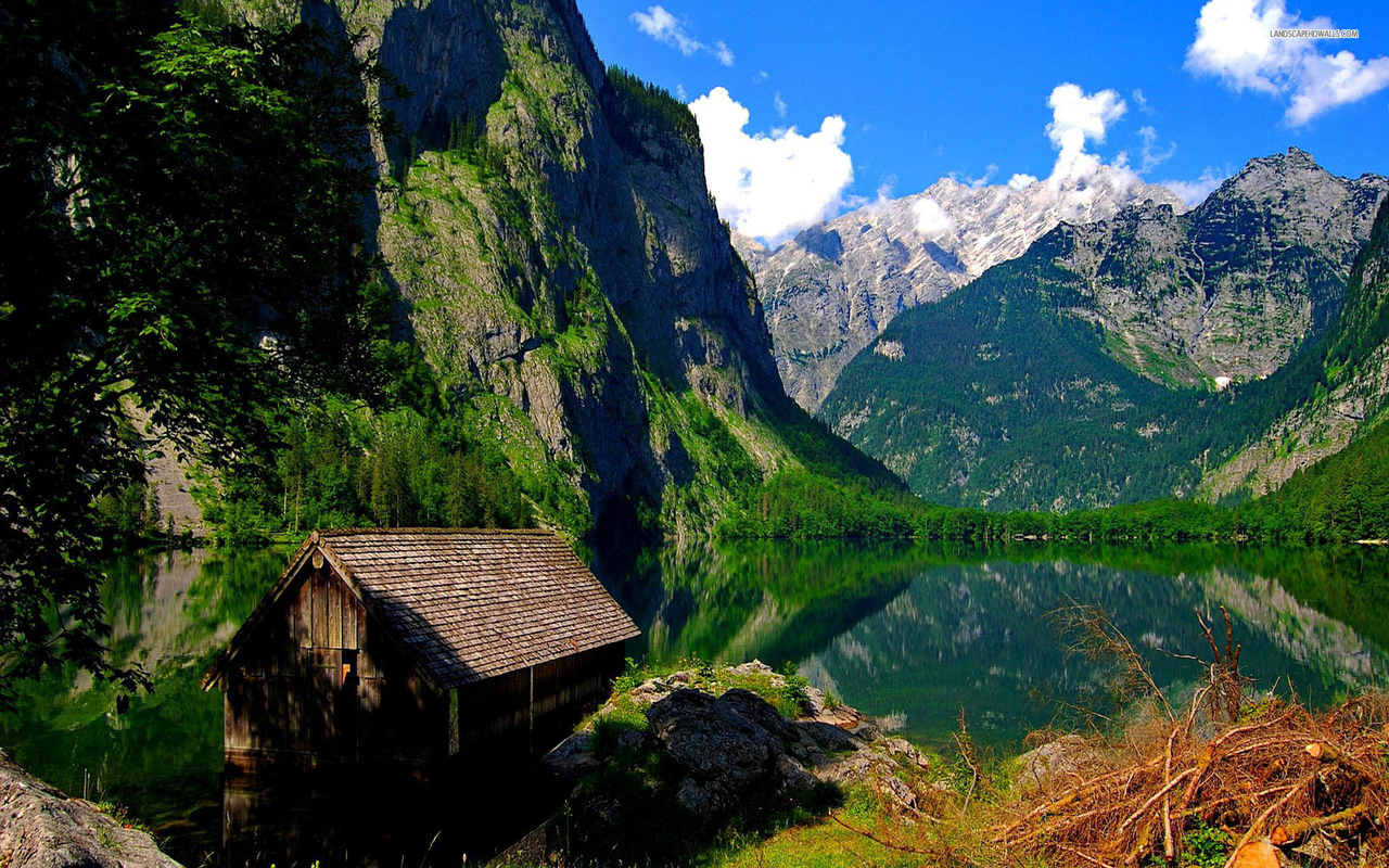 flooded, cabin, lake, water, mountain, tree