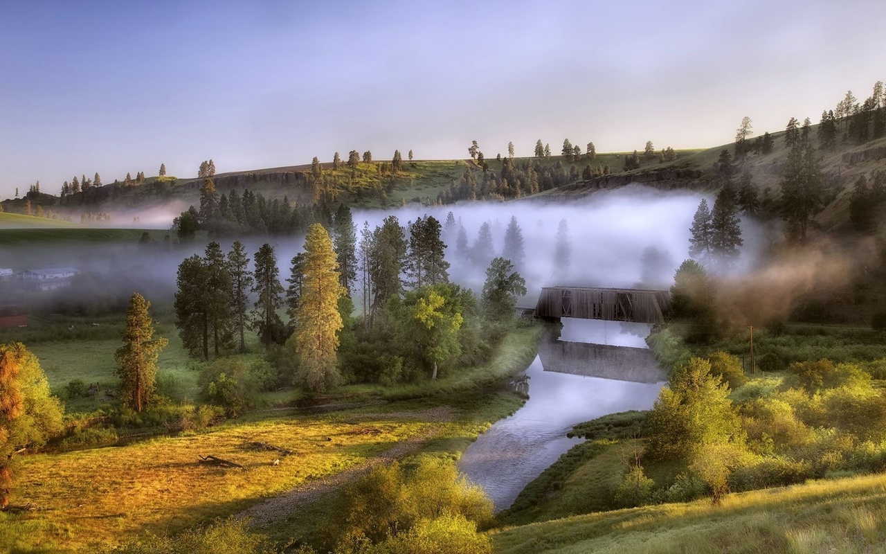 foggy, morning, bridge, river