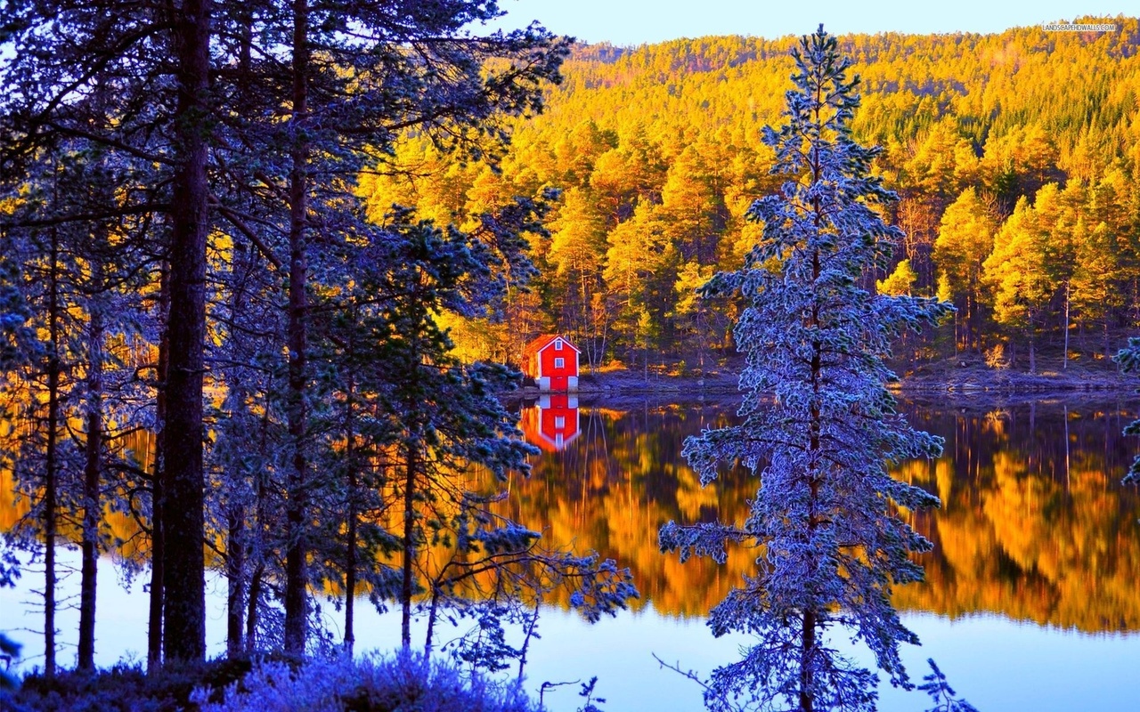 cabin, small, lake, tree, winter, snow