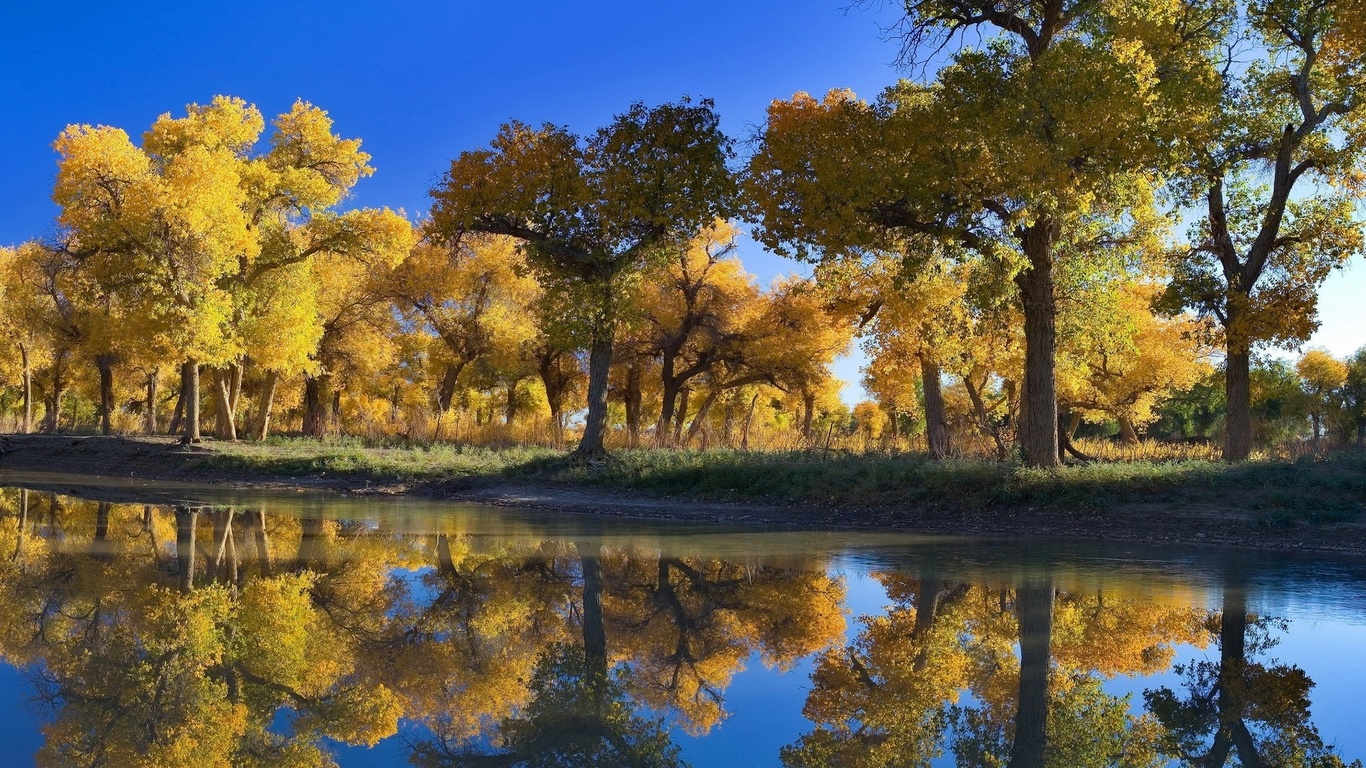 autumn, leaves, lake, reflection, tree, forest, water