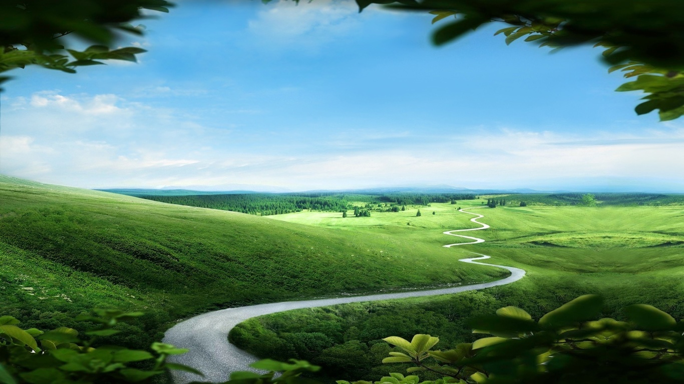 path, green, tree, grass, naturals