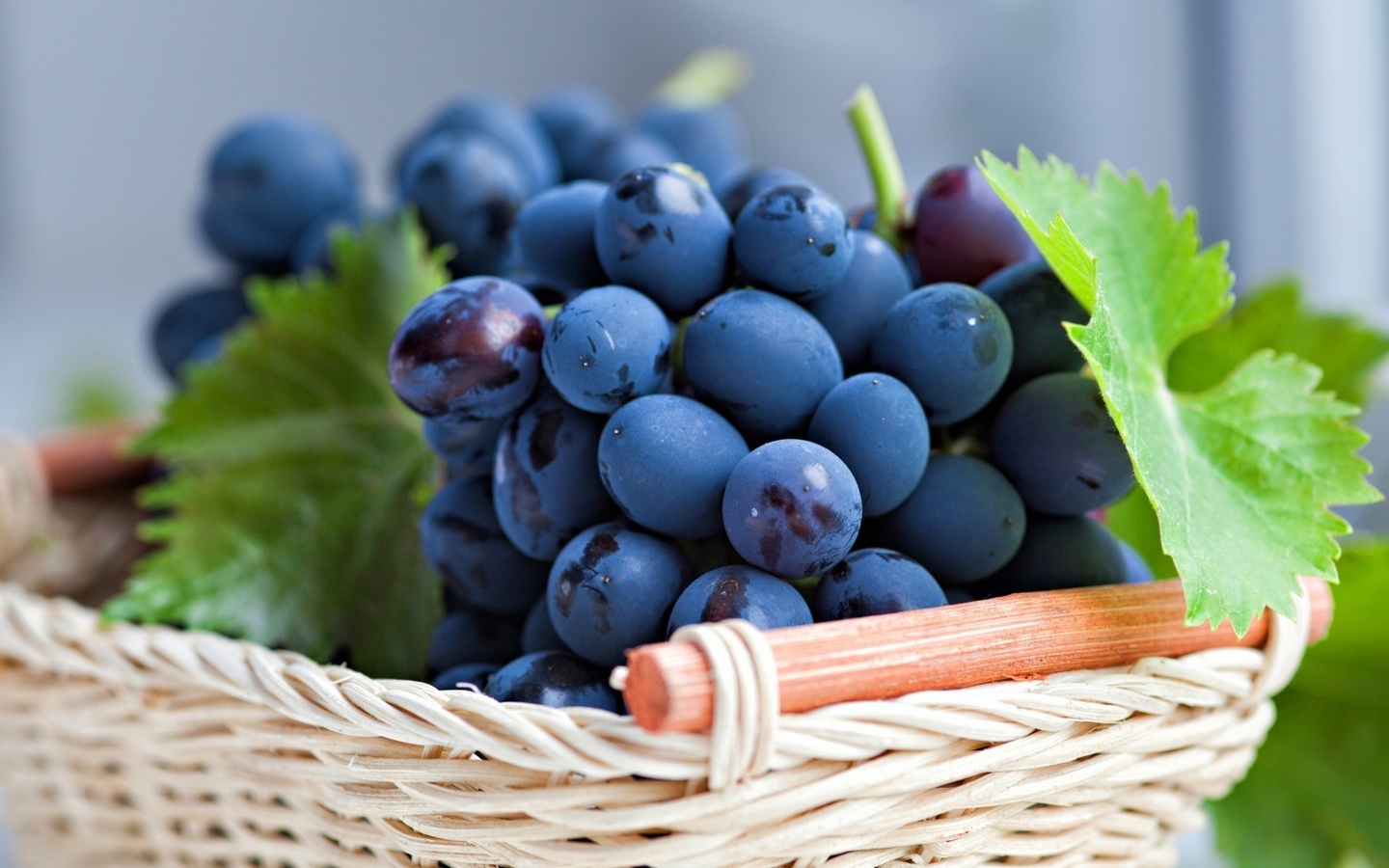 grapes, basket, fruit, branch