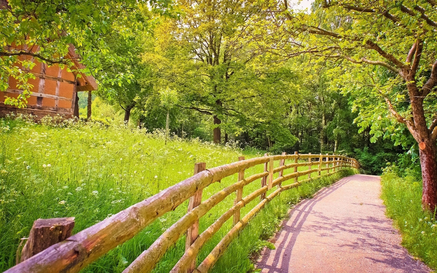 mountain, path, gree, grass, tree