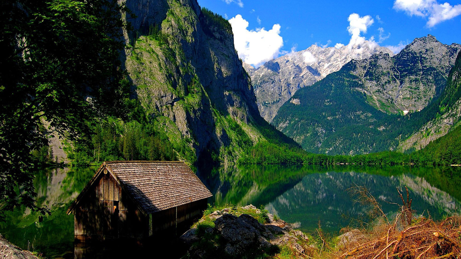 flooded, cabin, lake, water, mountain, tree