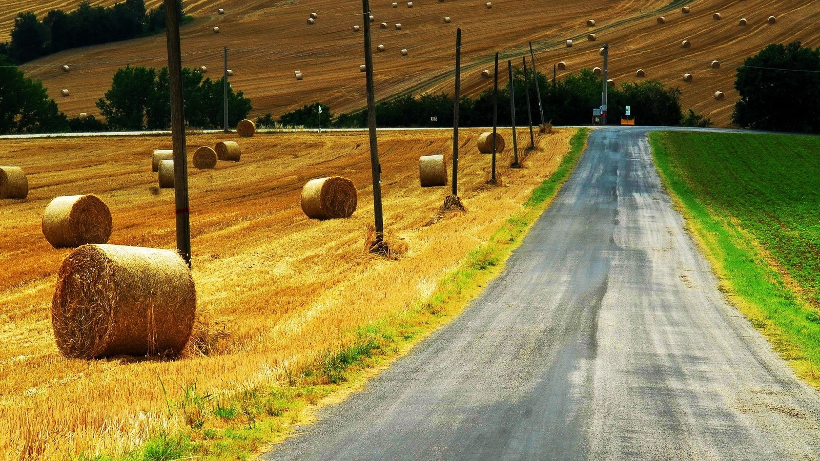 countryside, path, grass, green, sky