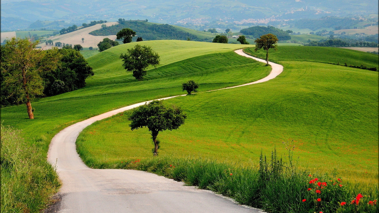 path, green, tree, grass, naturals