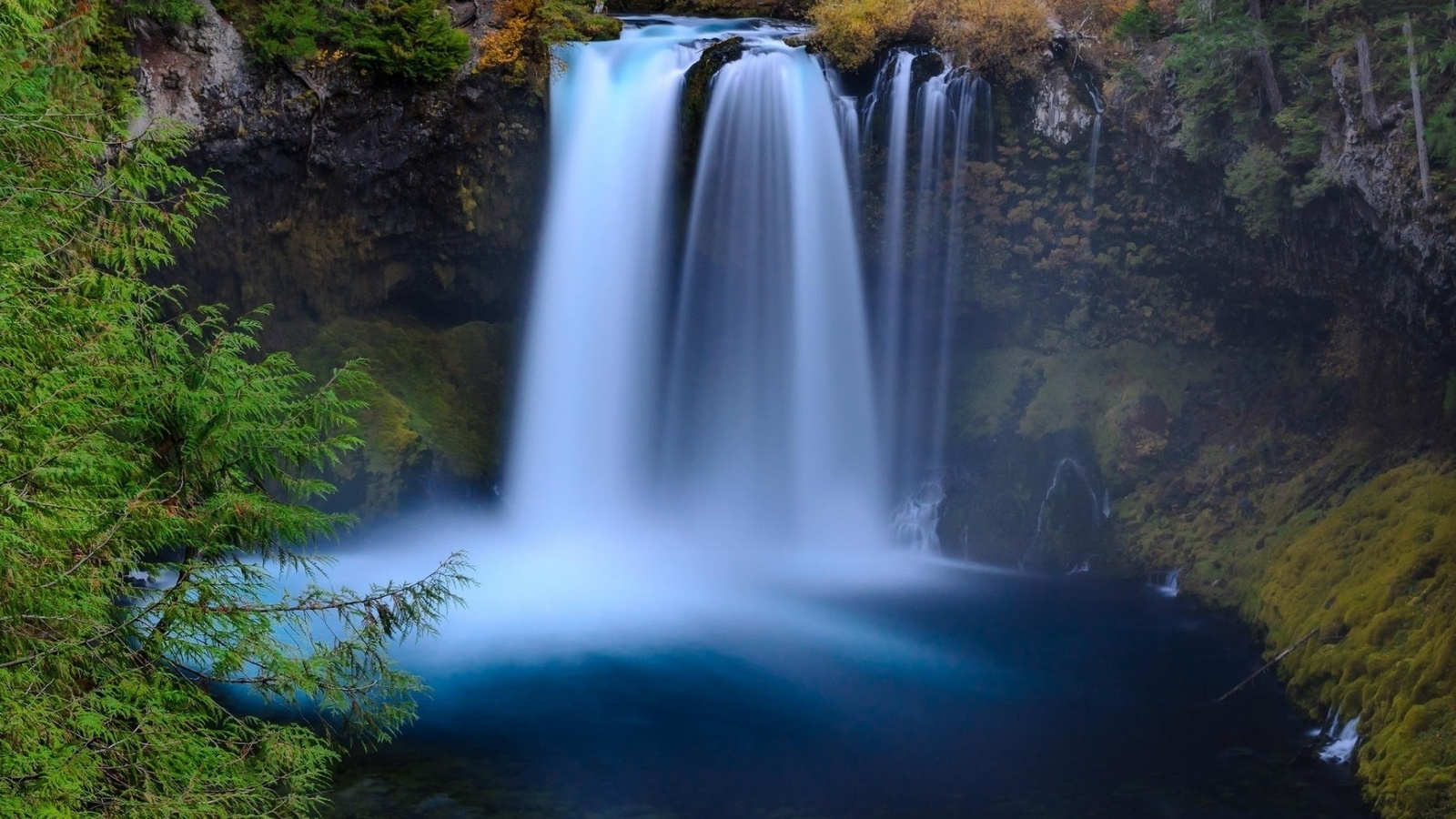 waterfall, forest, tree, river, water