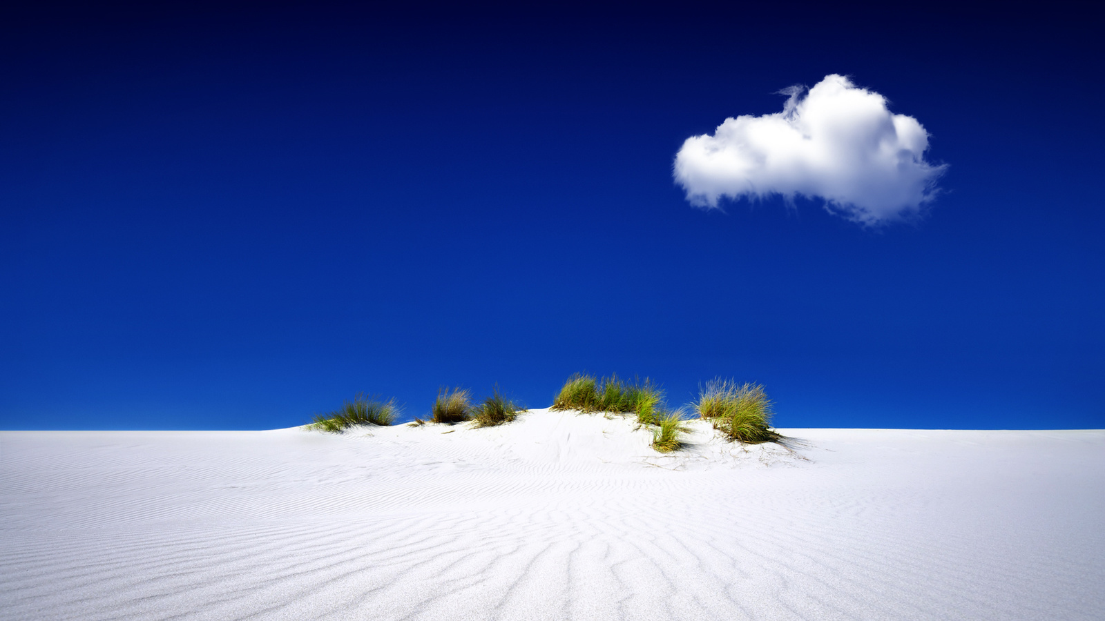 dune, palm, sand, sky