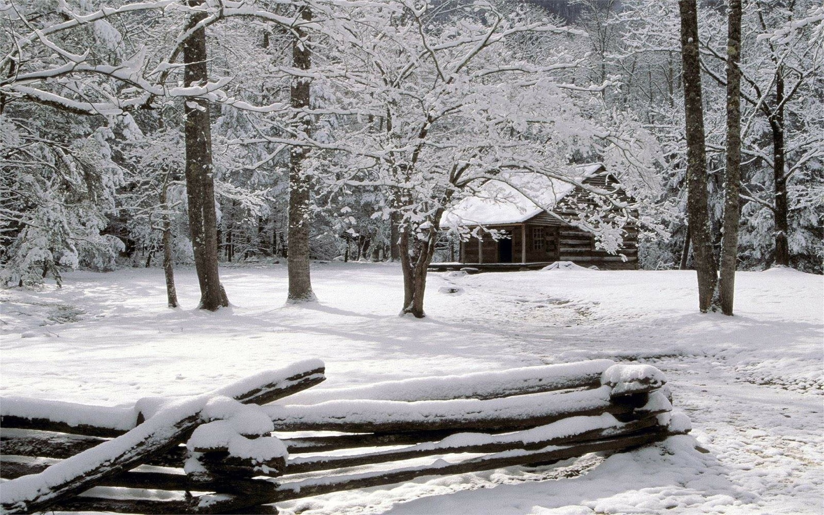 winter, snow, fence, tree, cottage, , , , , , , , , , 