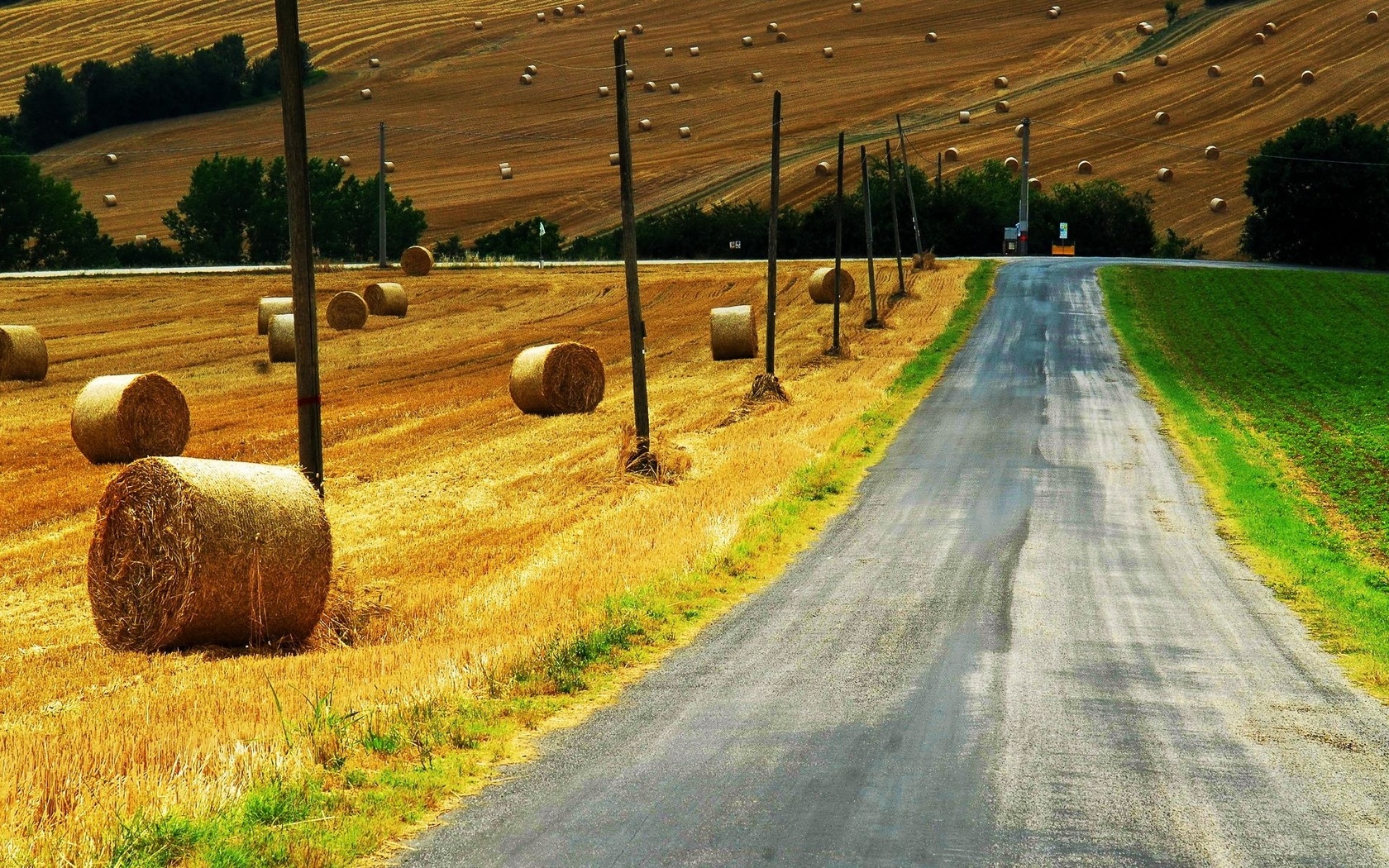 countryside, path, grass, green, sky