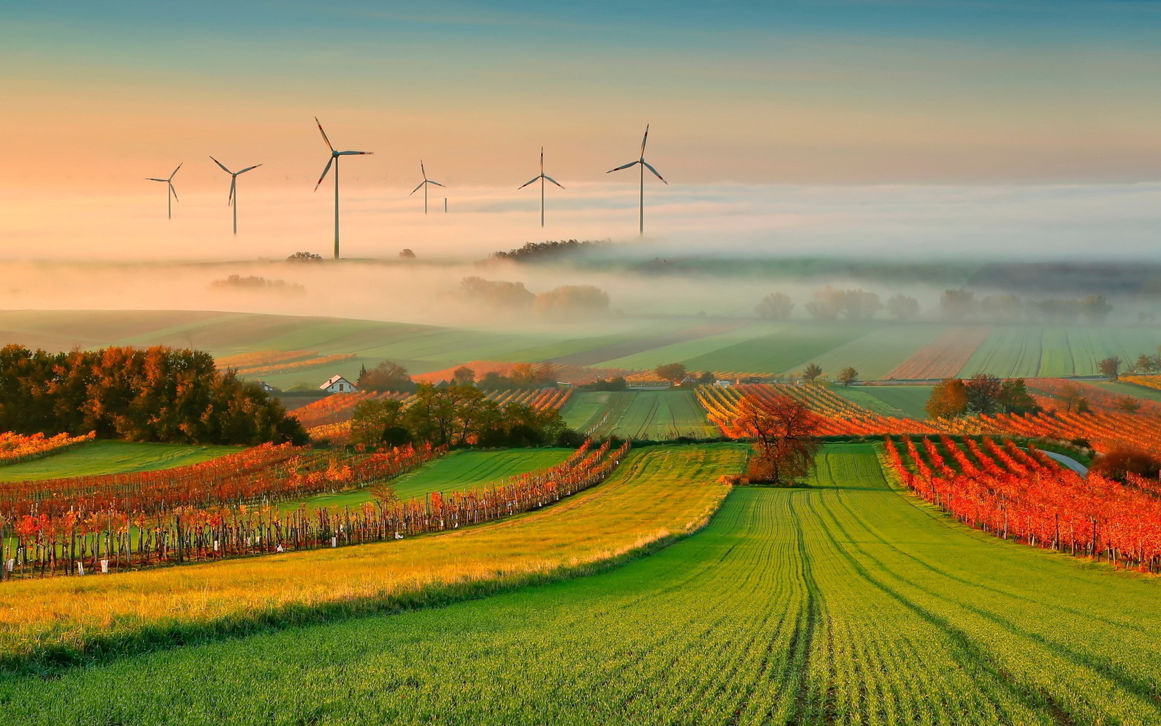 mills, wind, fields, grass, green