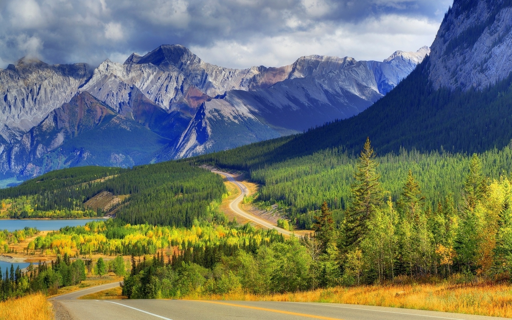 road, mountain, tree, leaves, ,, 