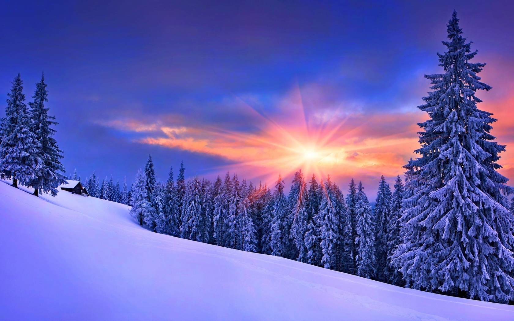 cabin, winter, mountain, tree, snow