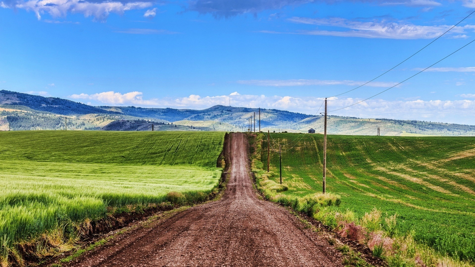 countryside, path, grass, green, sky