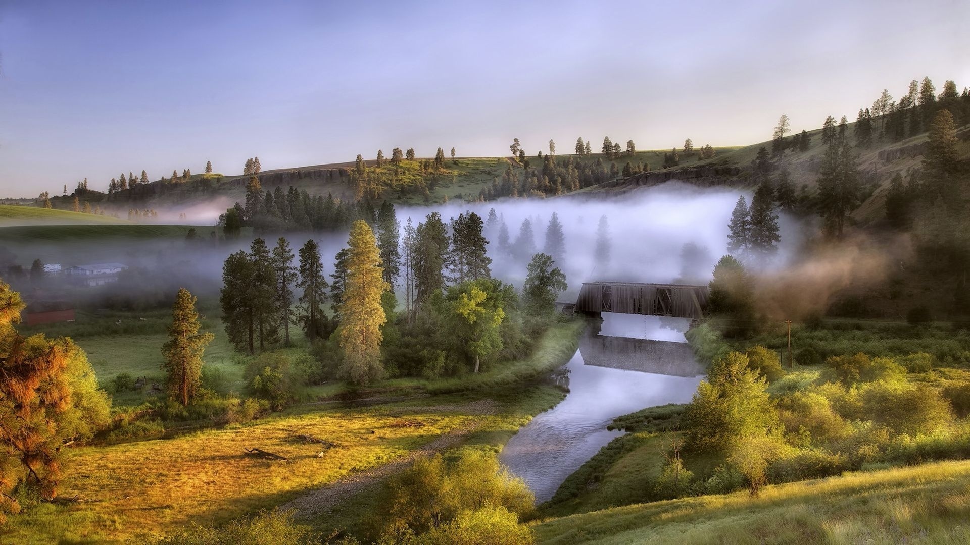 foggy, morning, bridge, river