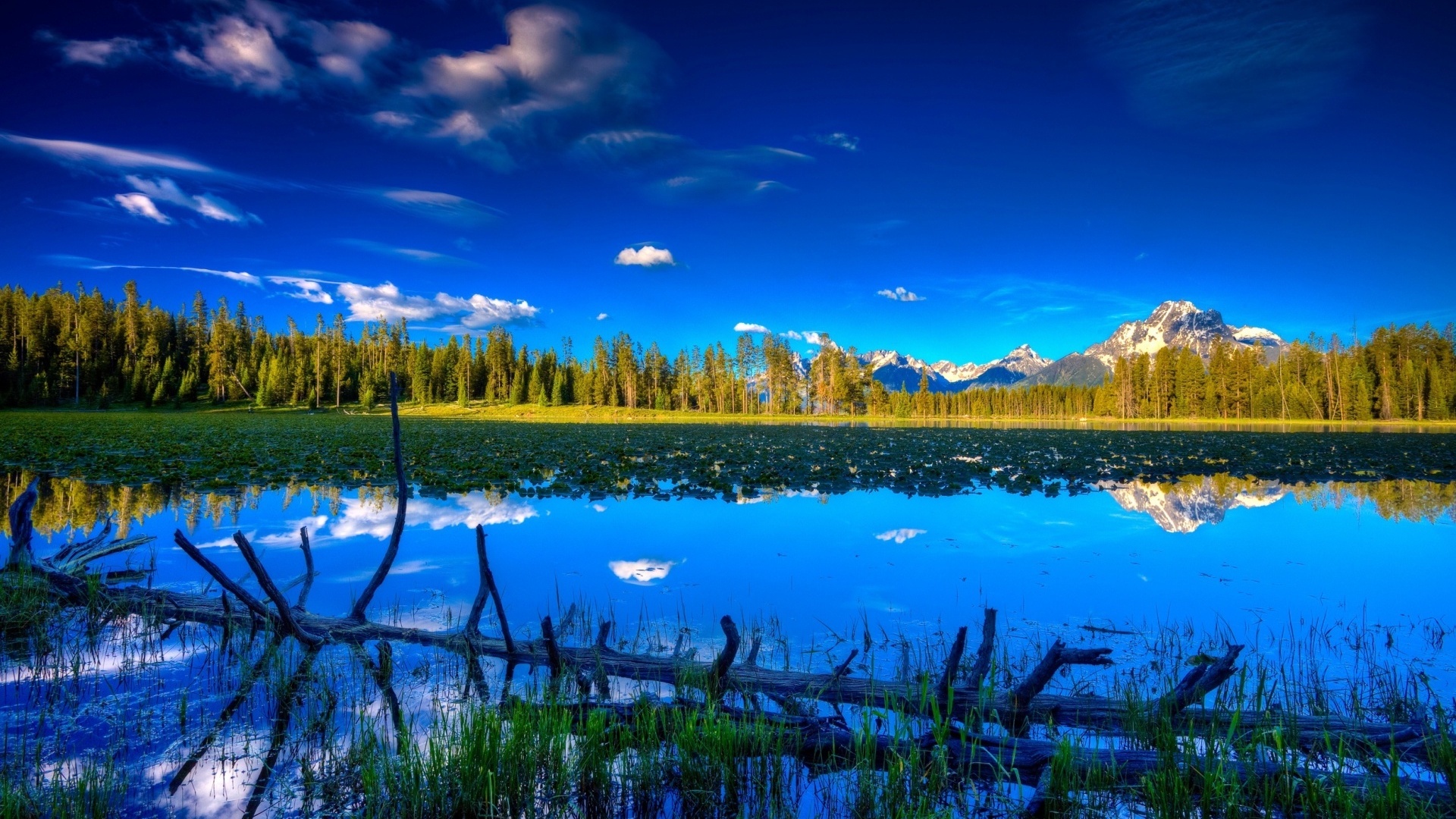 blue, water, lake, tree, mountain