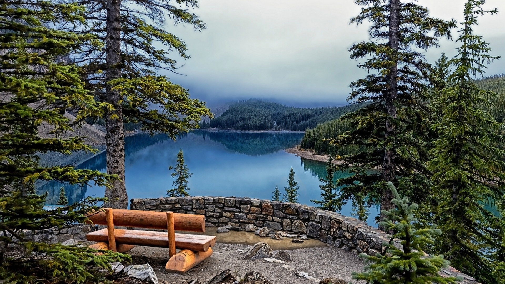 bench, lake, tree, water