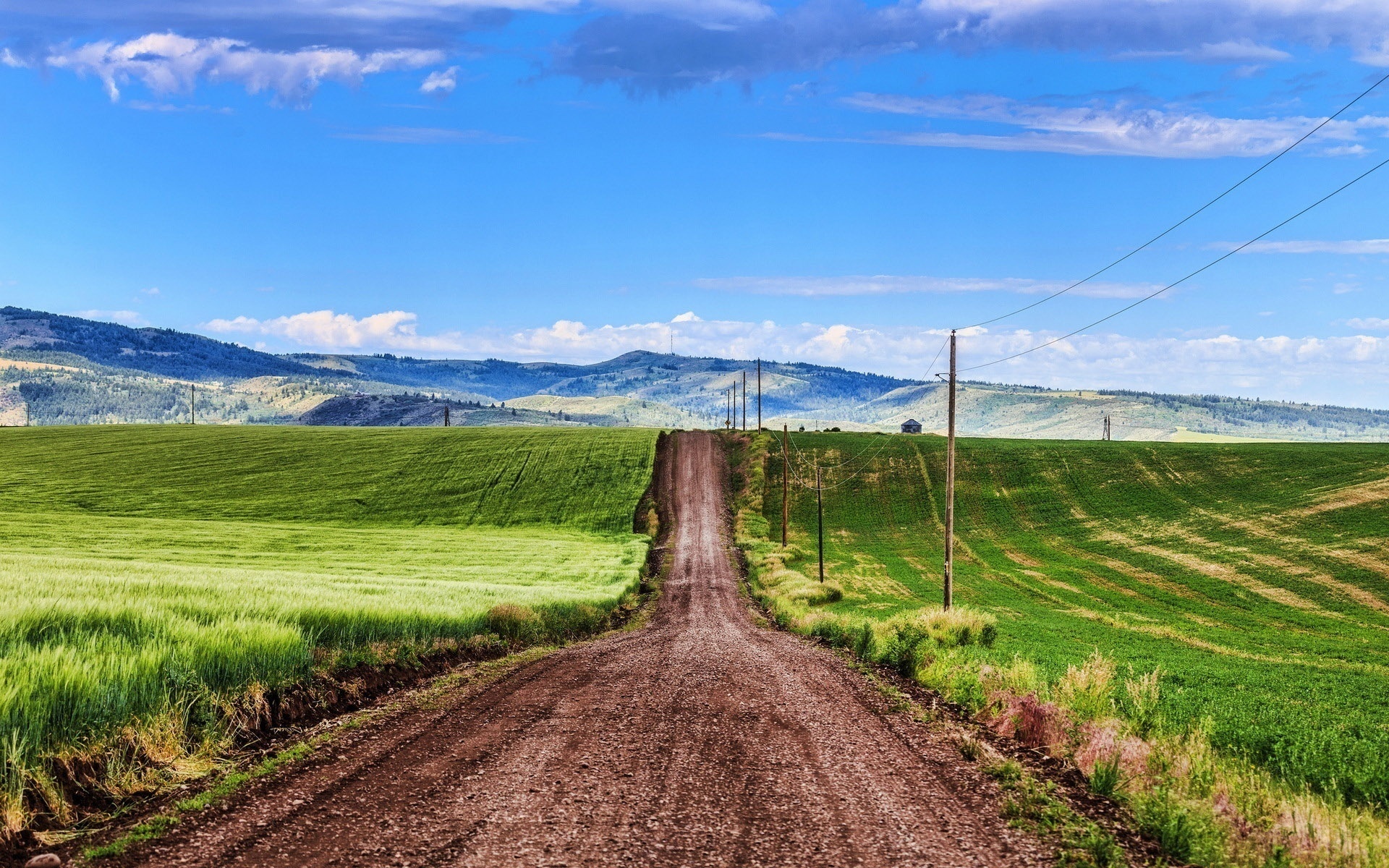 countryside, path, grass, green, sky