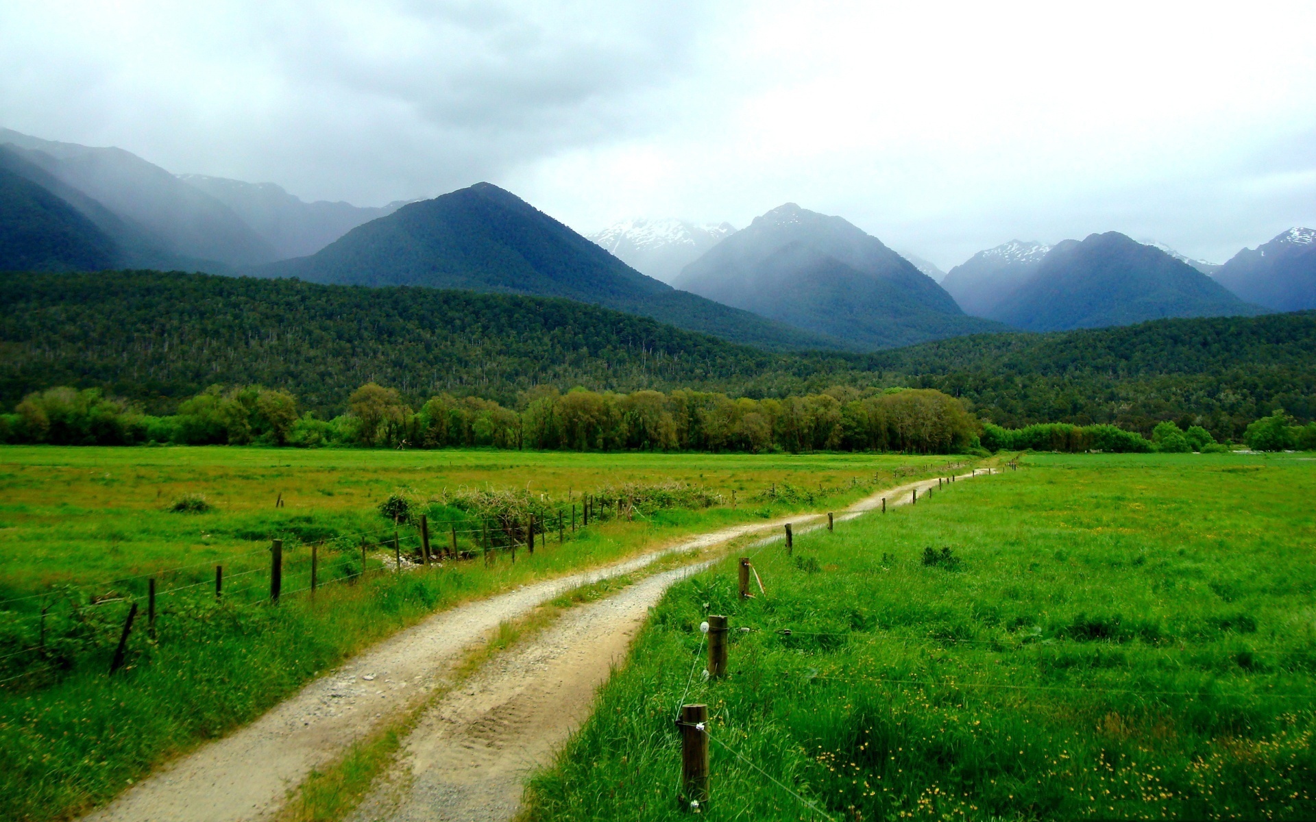 mountain, fence, green, tree, grass