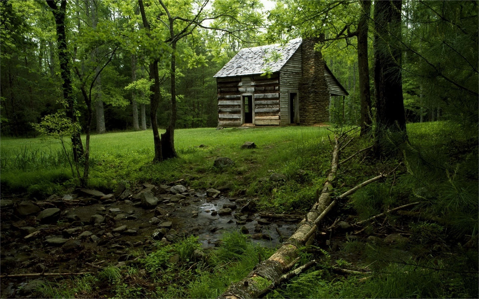 cabin, cottage, forest, tree, grass, green