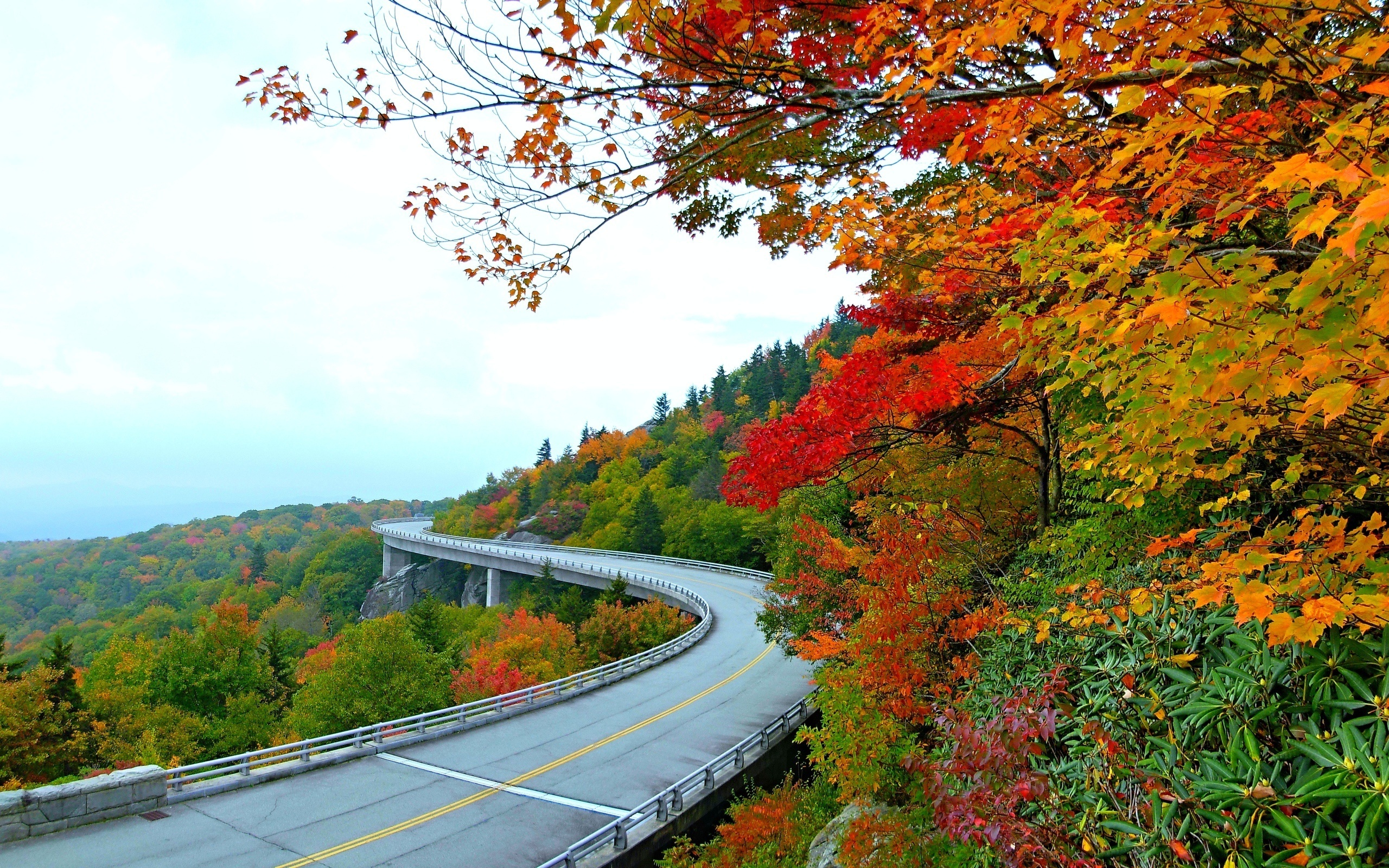 Autumn us. Осень. Осенняя дорога в горах. Мост природа осень горы. Осенняя дорога в Сочи.