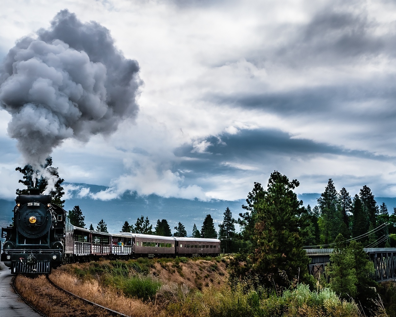 train, smoke, railroad, forest