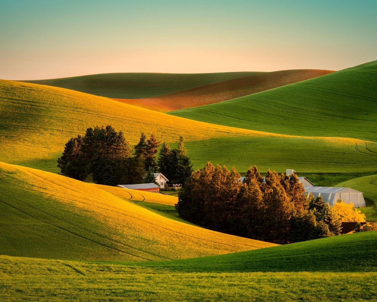 hills, houses, grass, green