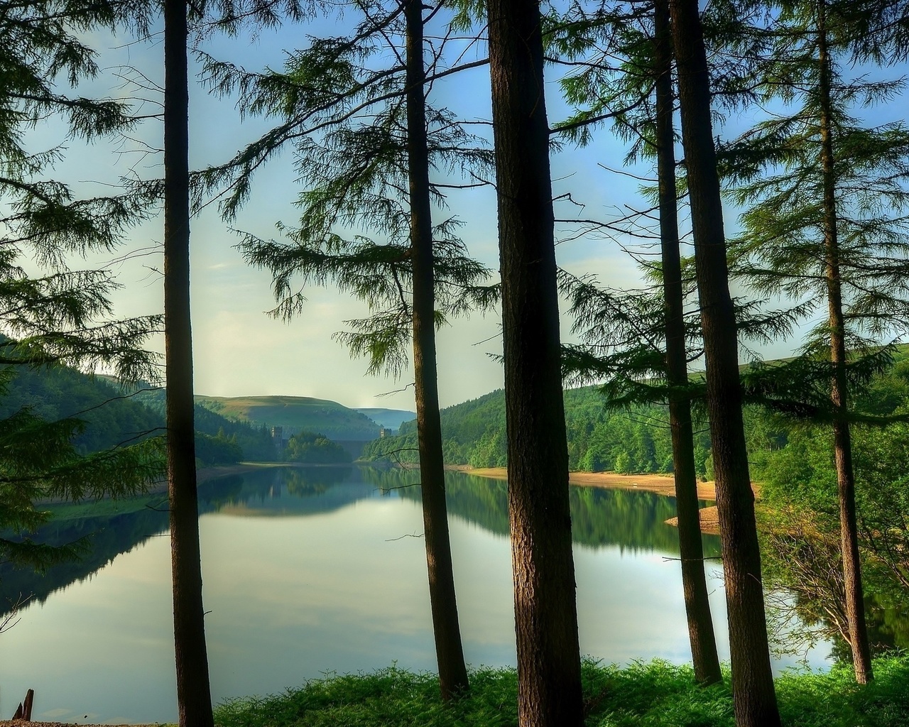 lake, mountain, tree, forest, water, sky, blue