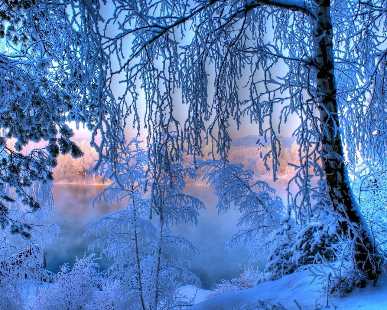 winter, snow, ice, water, river, tree