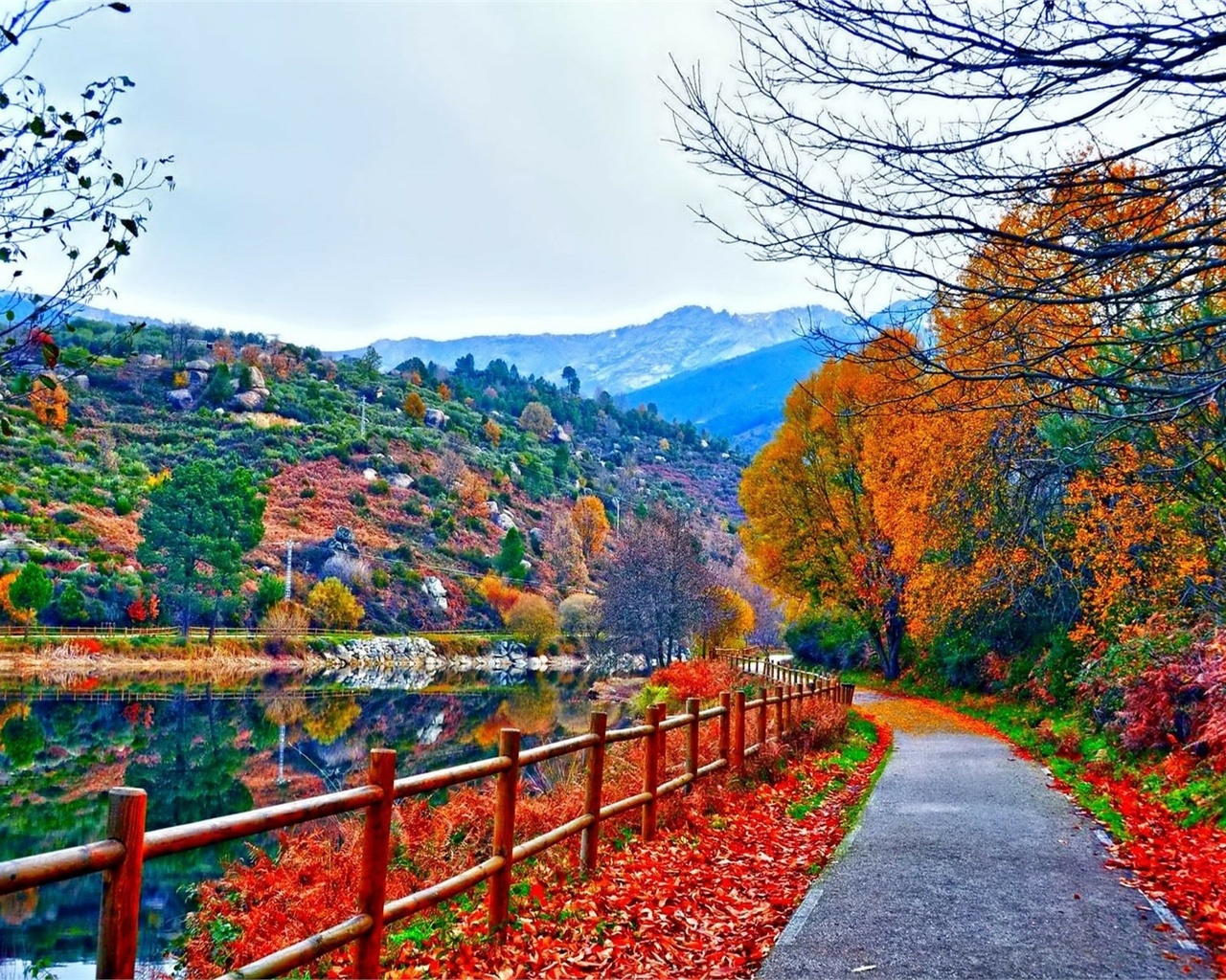 fences, autumn, road, lake, reflextion