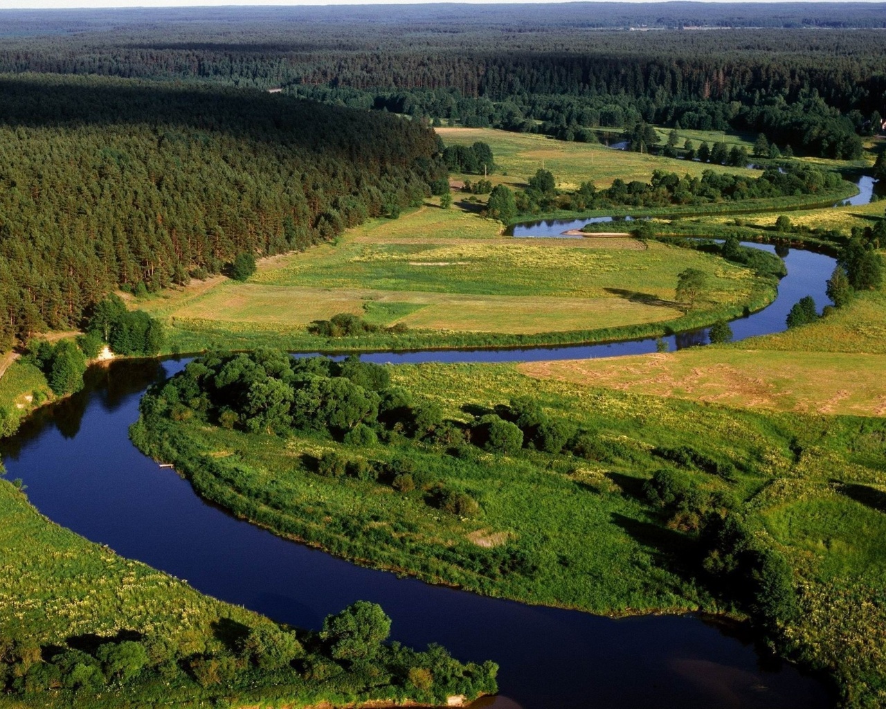 river, delta, green, tree