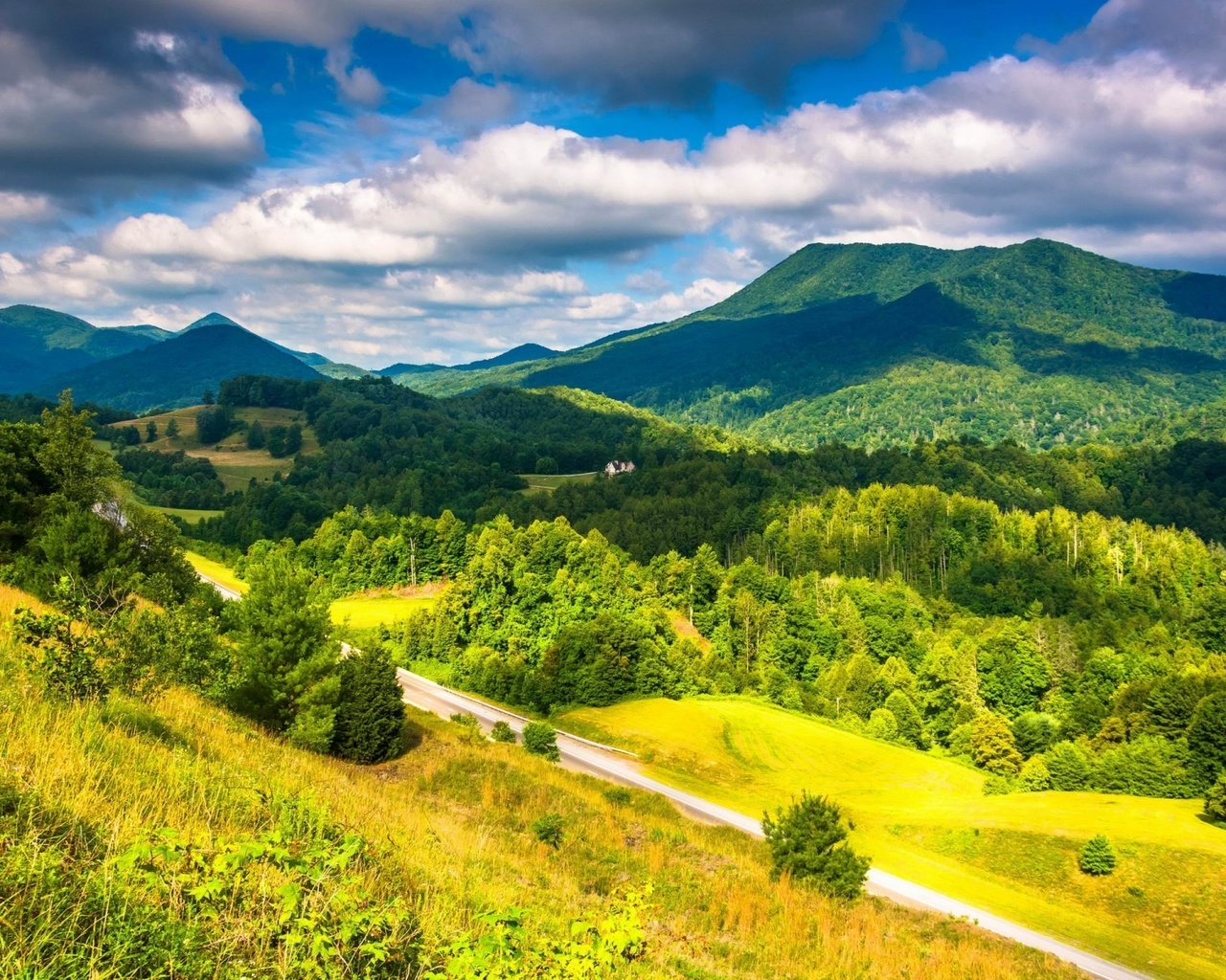 appalache, mountains, road, tree