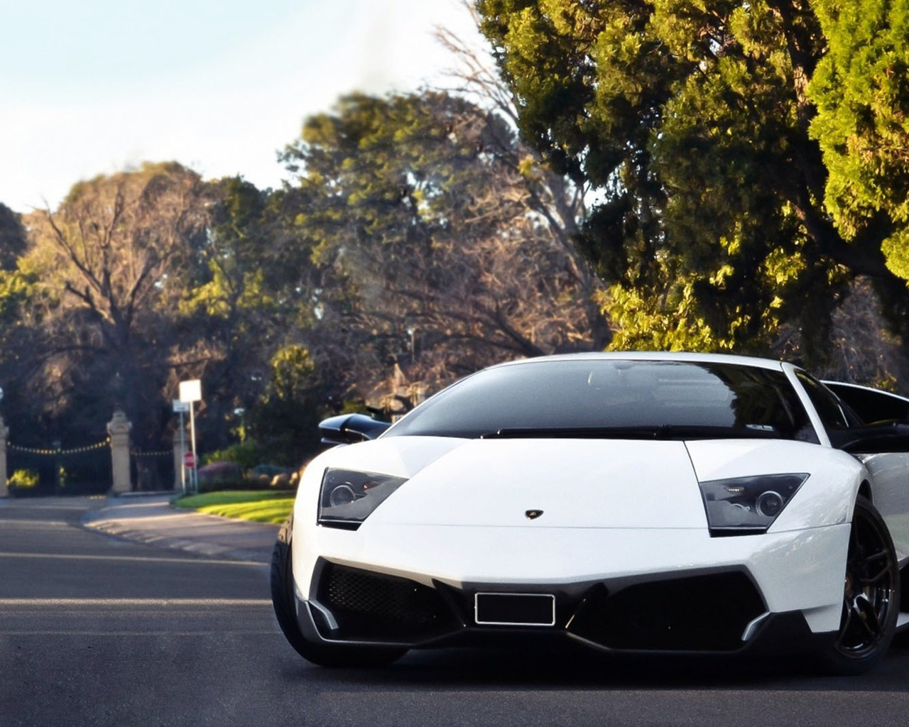 lamborghini, road, fields, wheel