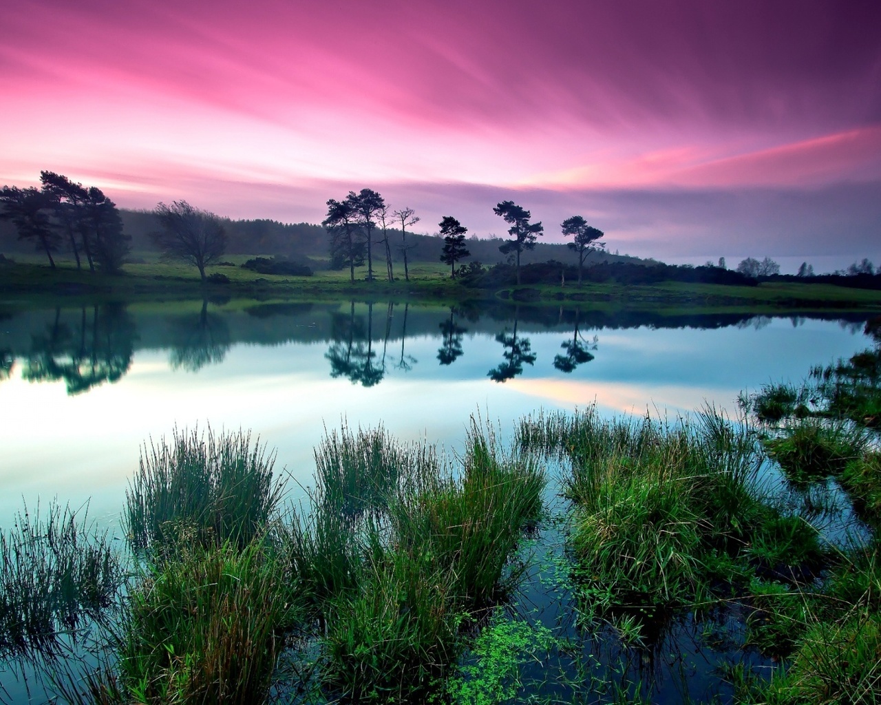 purple, sky, clouds, lake, tree