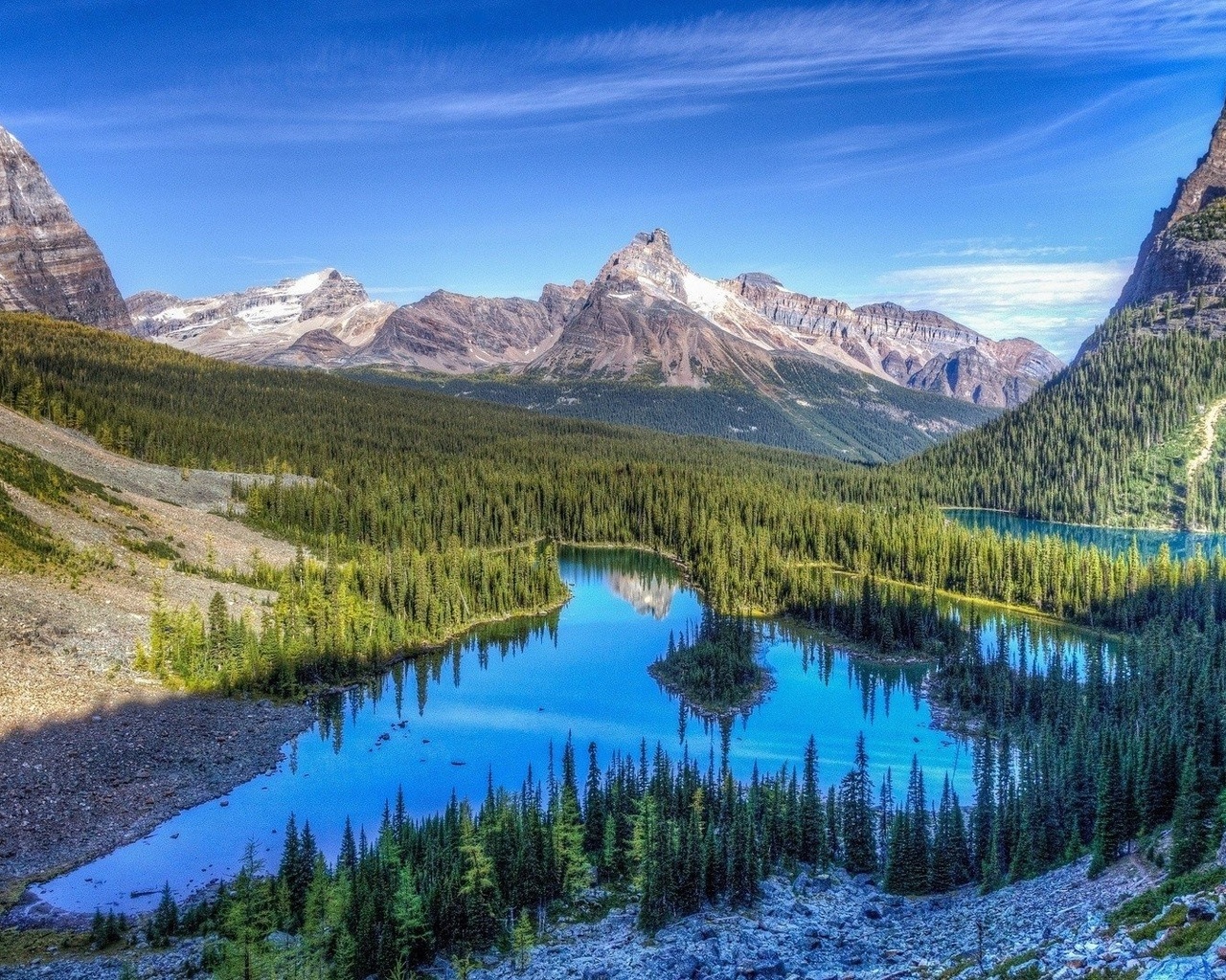 water, mountain, pine, tree